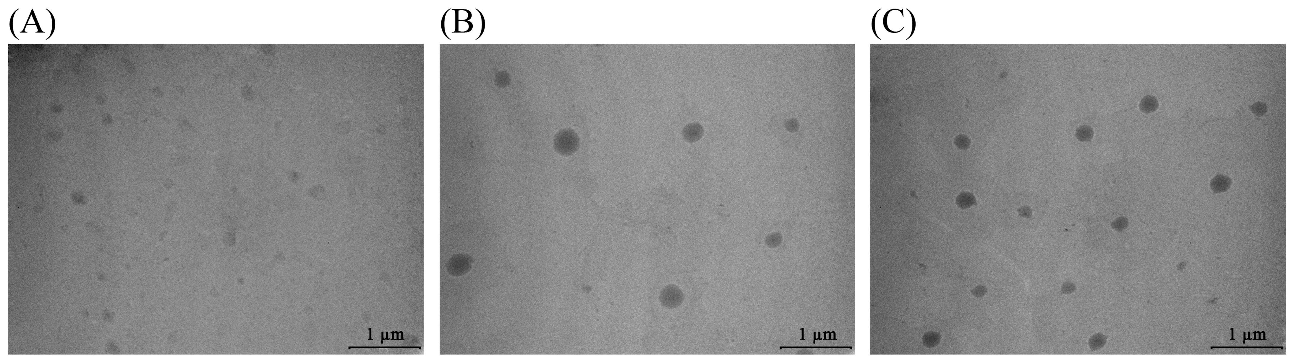 Pharmaceuticals 18 01639 g005