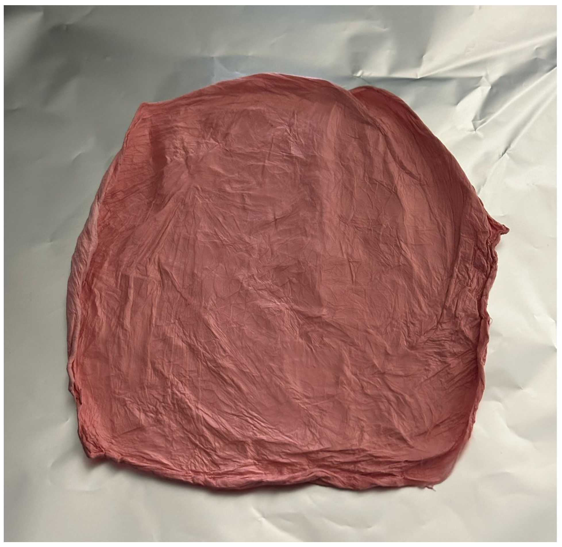 Pharmaceuticals 18 01642 g001