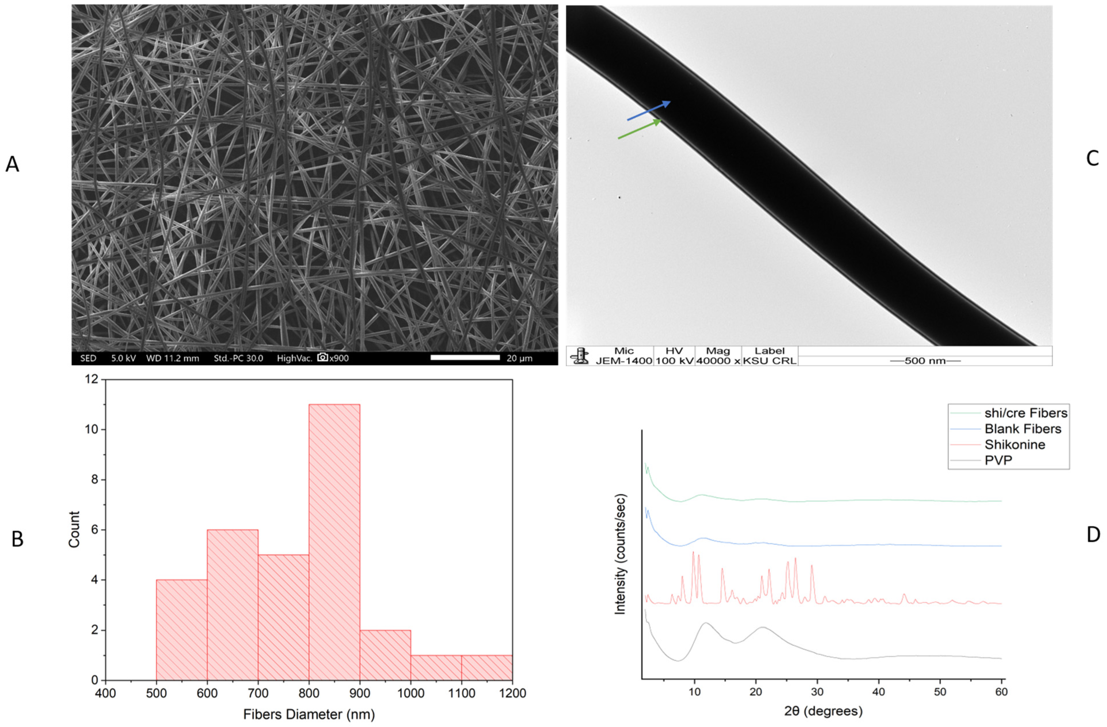 Pharmaceuticals 18 01642 g002
