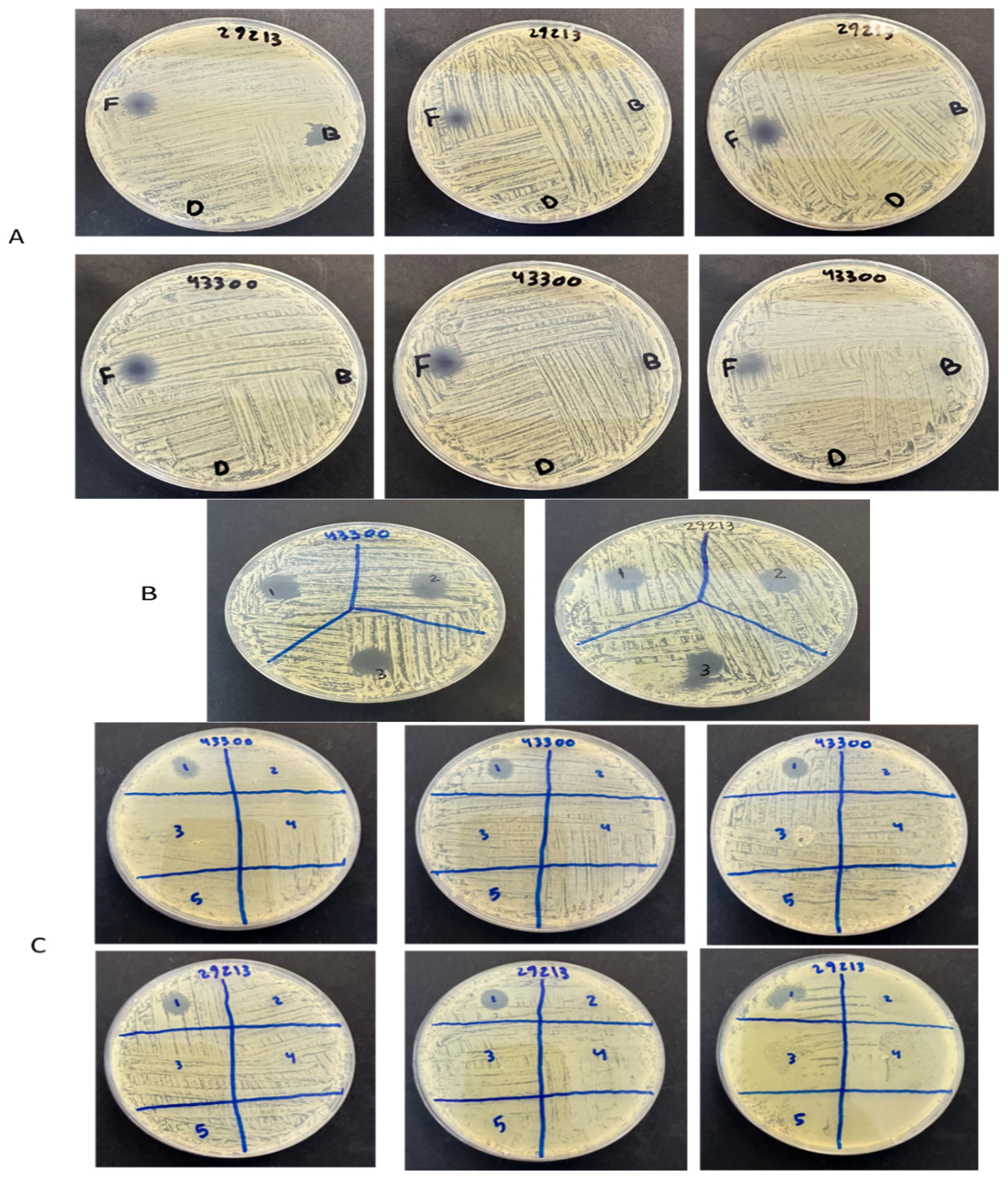 Pharmaceuticals 18 01642 g006