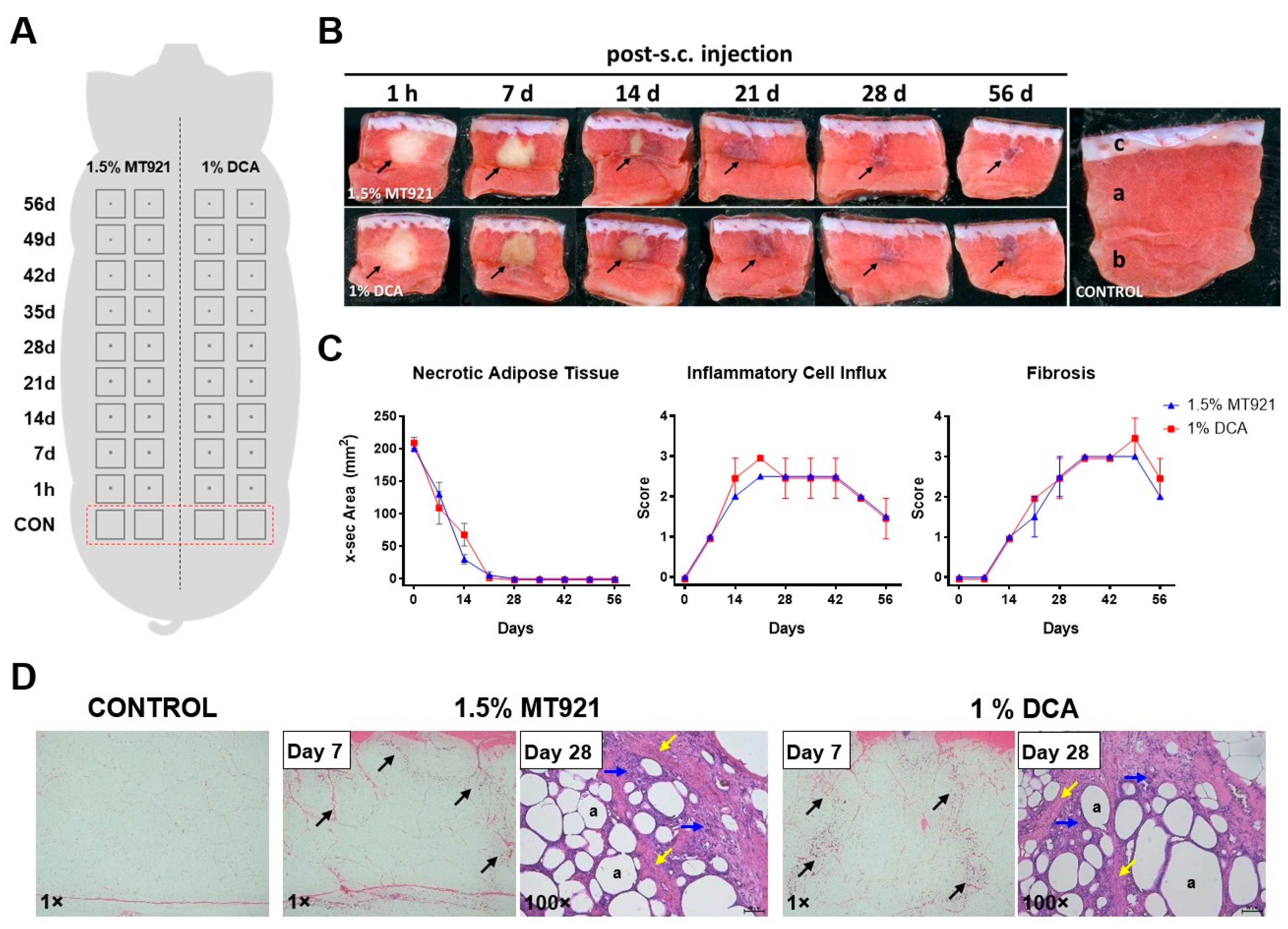 Pharmaceuticals 18 01643 g001 Pharmaceuticals 18 01643 g001
