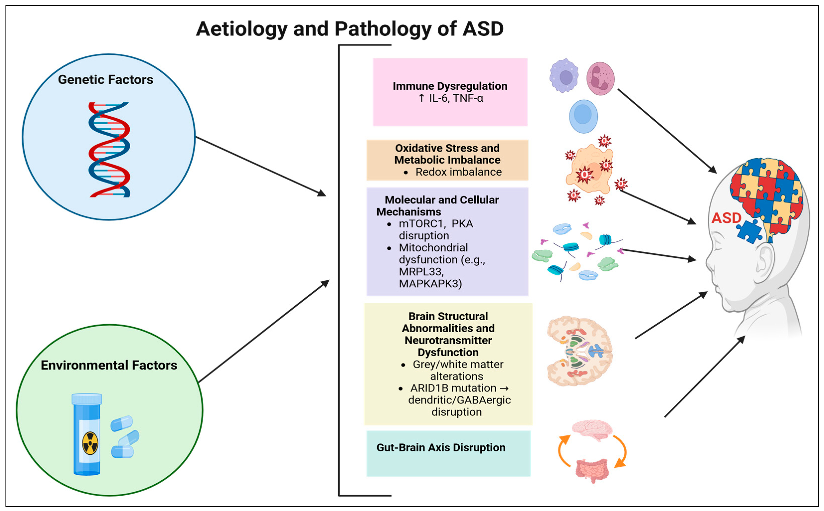 Pharmaceuticals 18 01644 g002 Pharmaceuticals 18 01644 g002