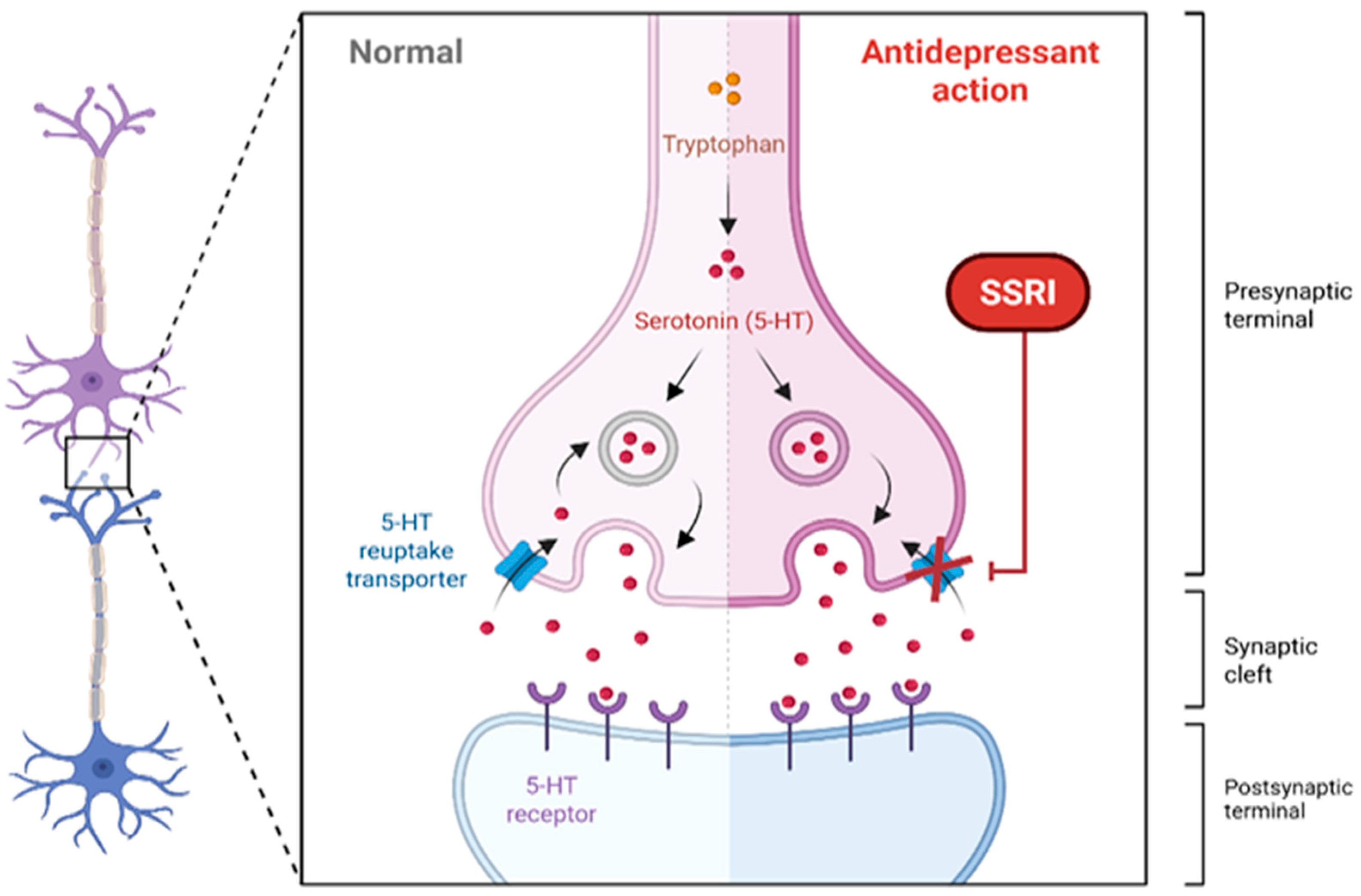 Pharmaceuticals 18 01644 g003 Pharmaceuticals 18 01644 g003