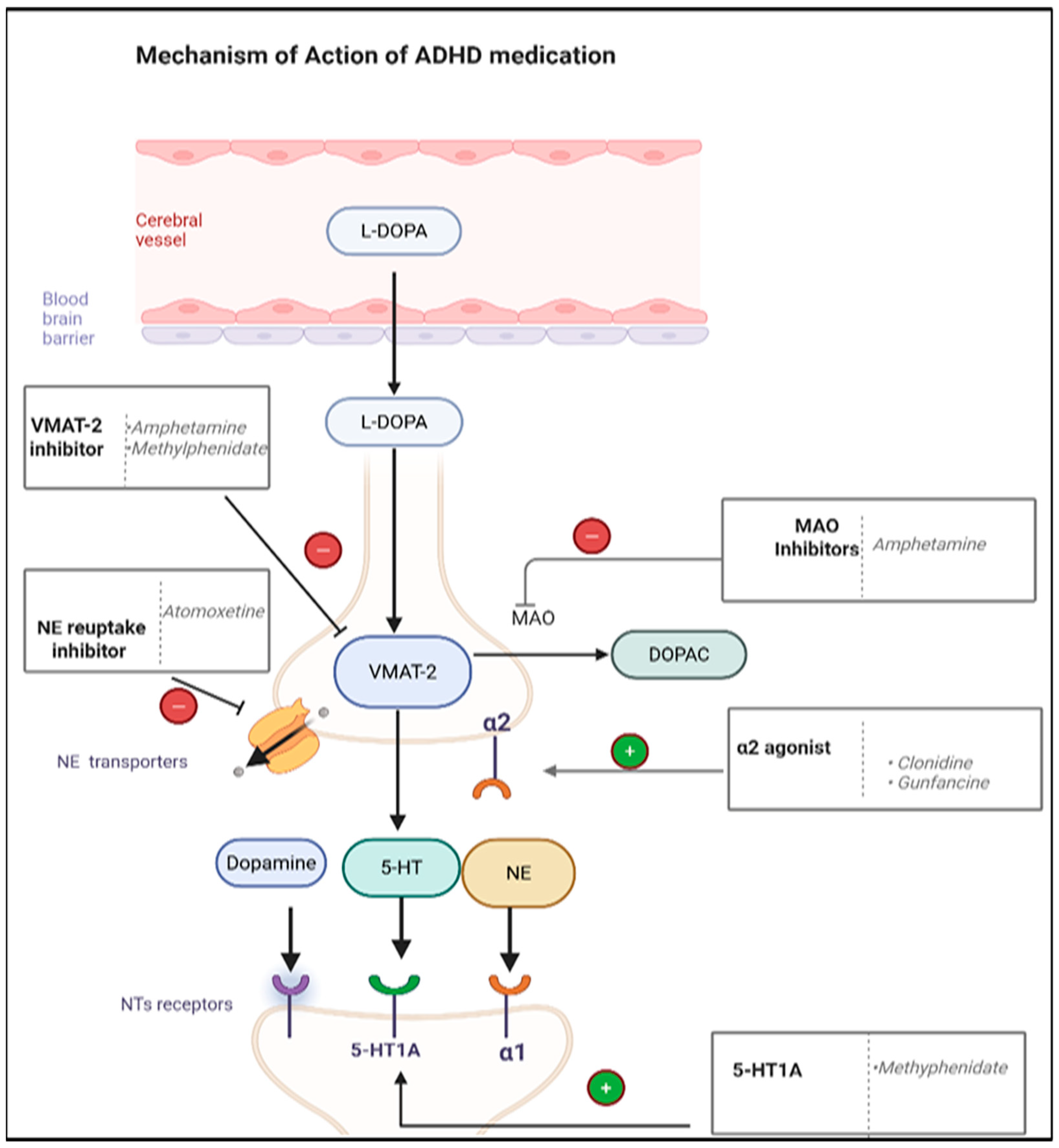 Pharmaceuticals 18 01644 g006 Pharmaceuticals 18 01644 g006