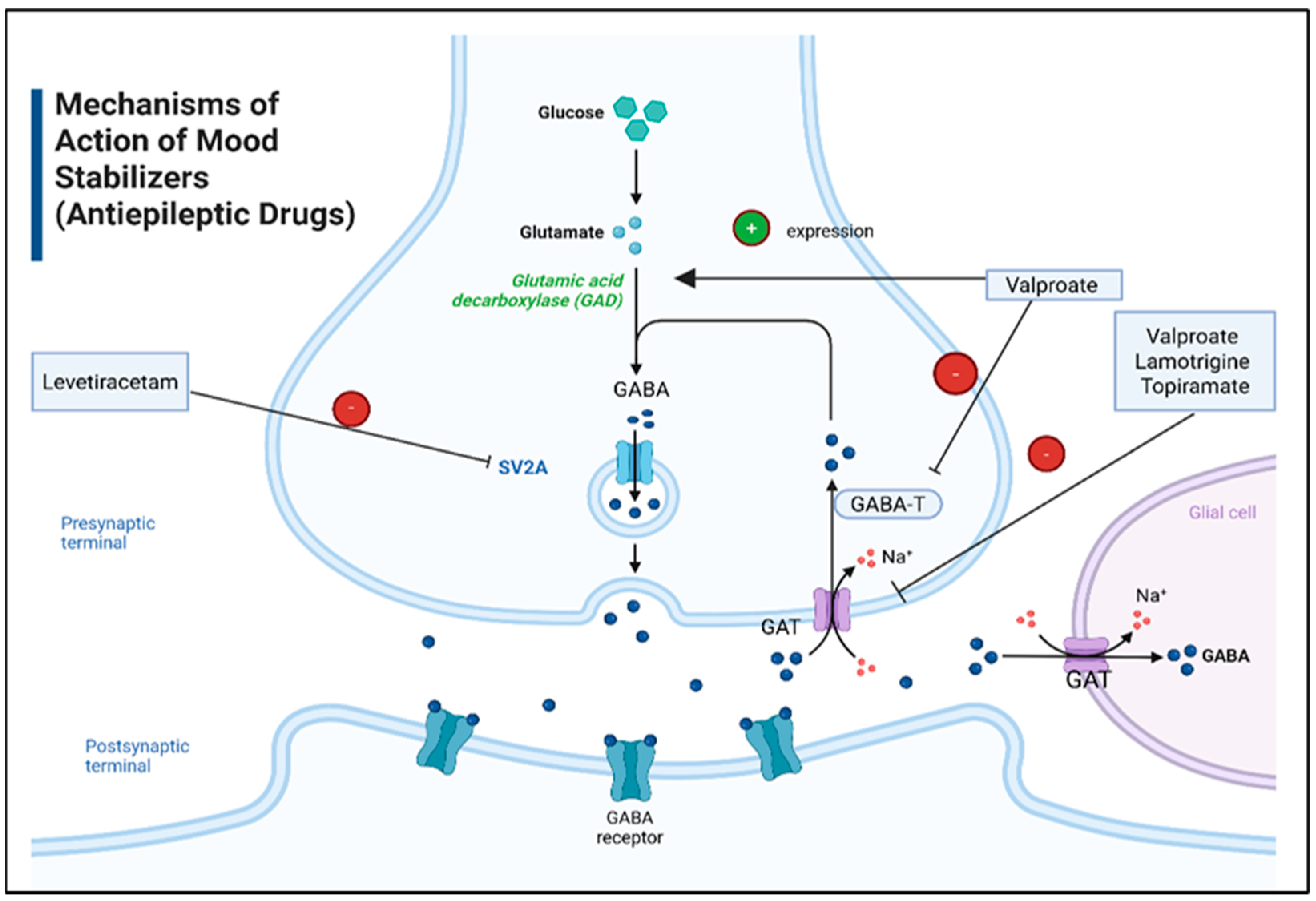 Pharmaceuticals 18 01644 g007 Pharmaceuticals 18 01644 g007