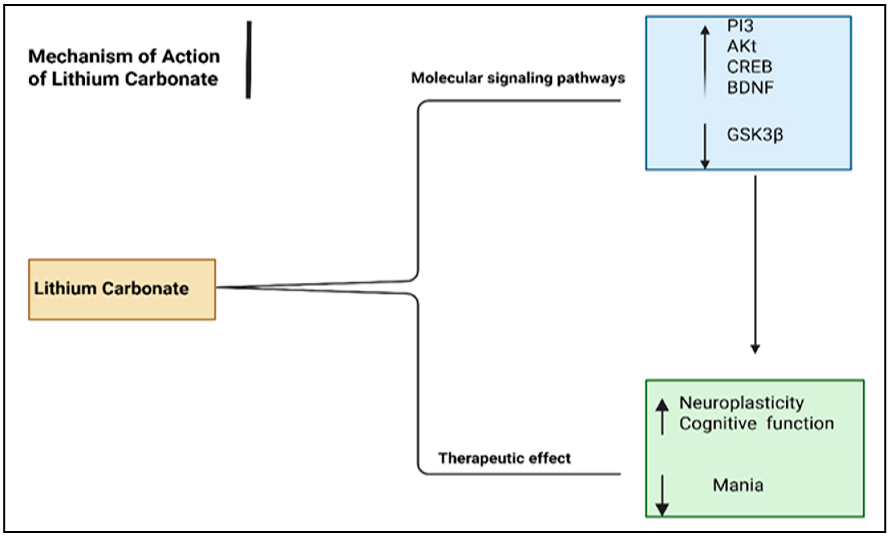 Pharmaceuticals 18 01644 g008 Pharmaceuticals 18 01644 g008