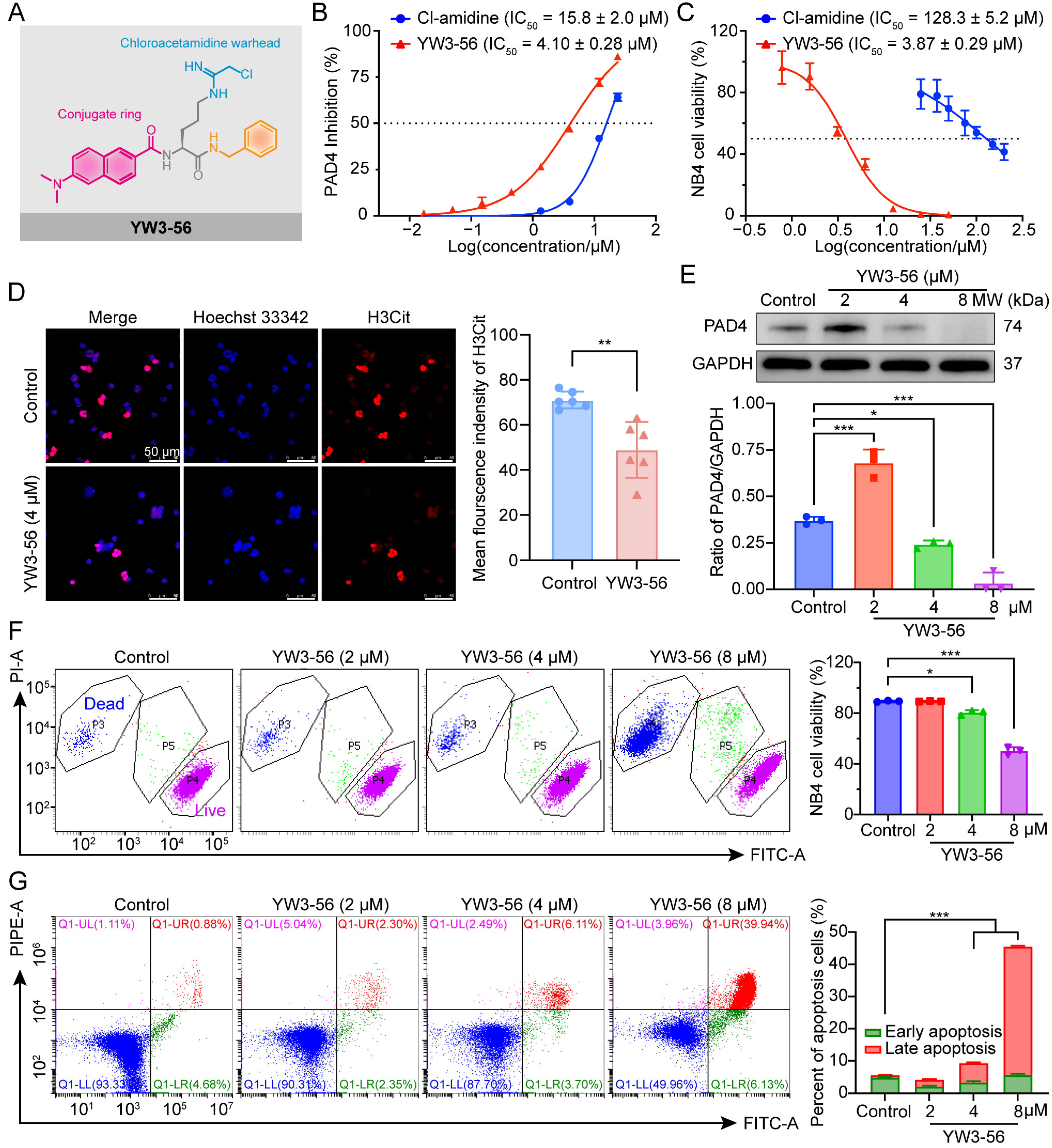 Pharmaceuticals 18 01646 g001 Pharmaceuticals 18 01646 g001