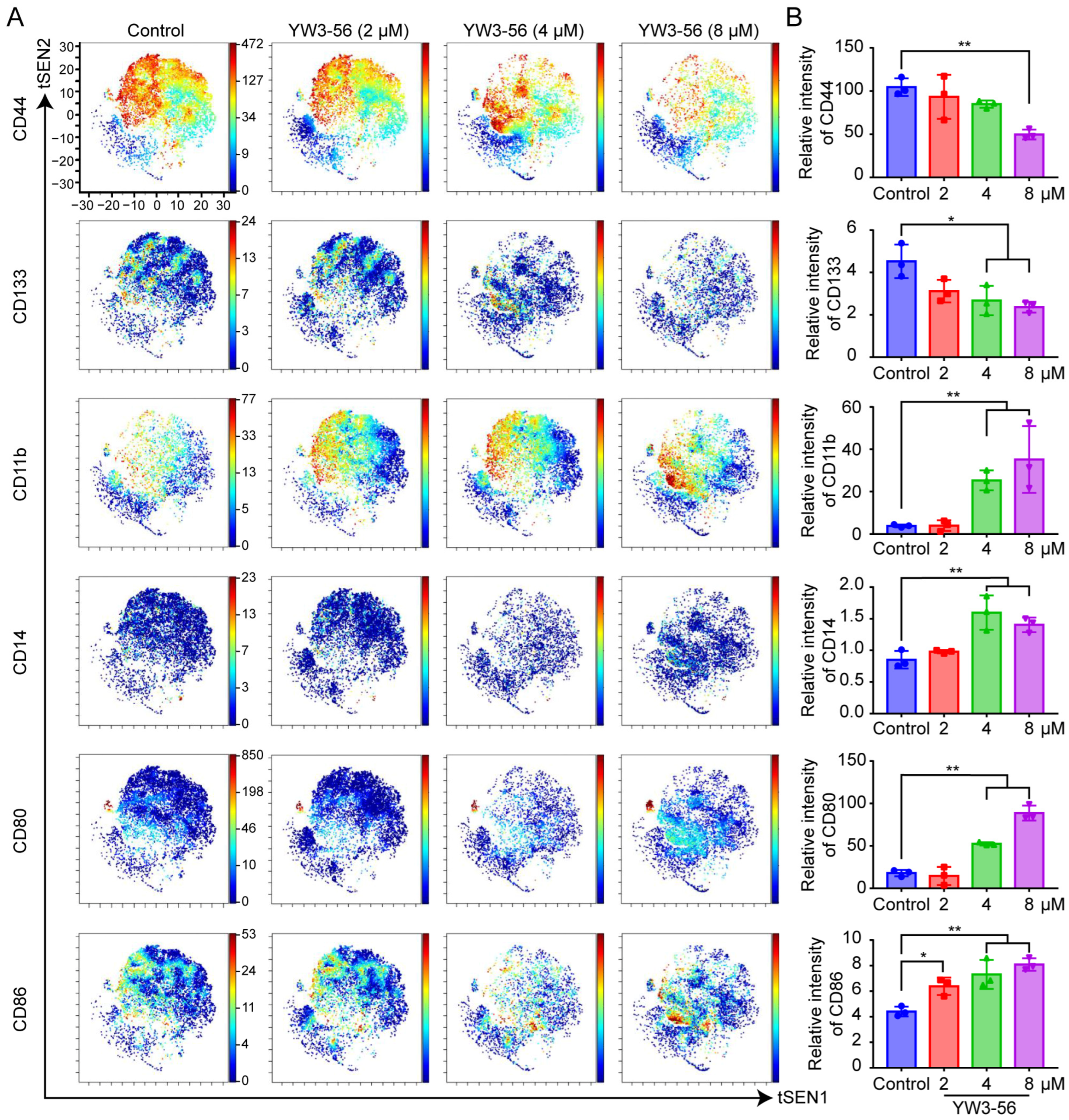 Pharmaceuticals 18 01646 g002 Pharmaceuticals 18 01646 g002