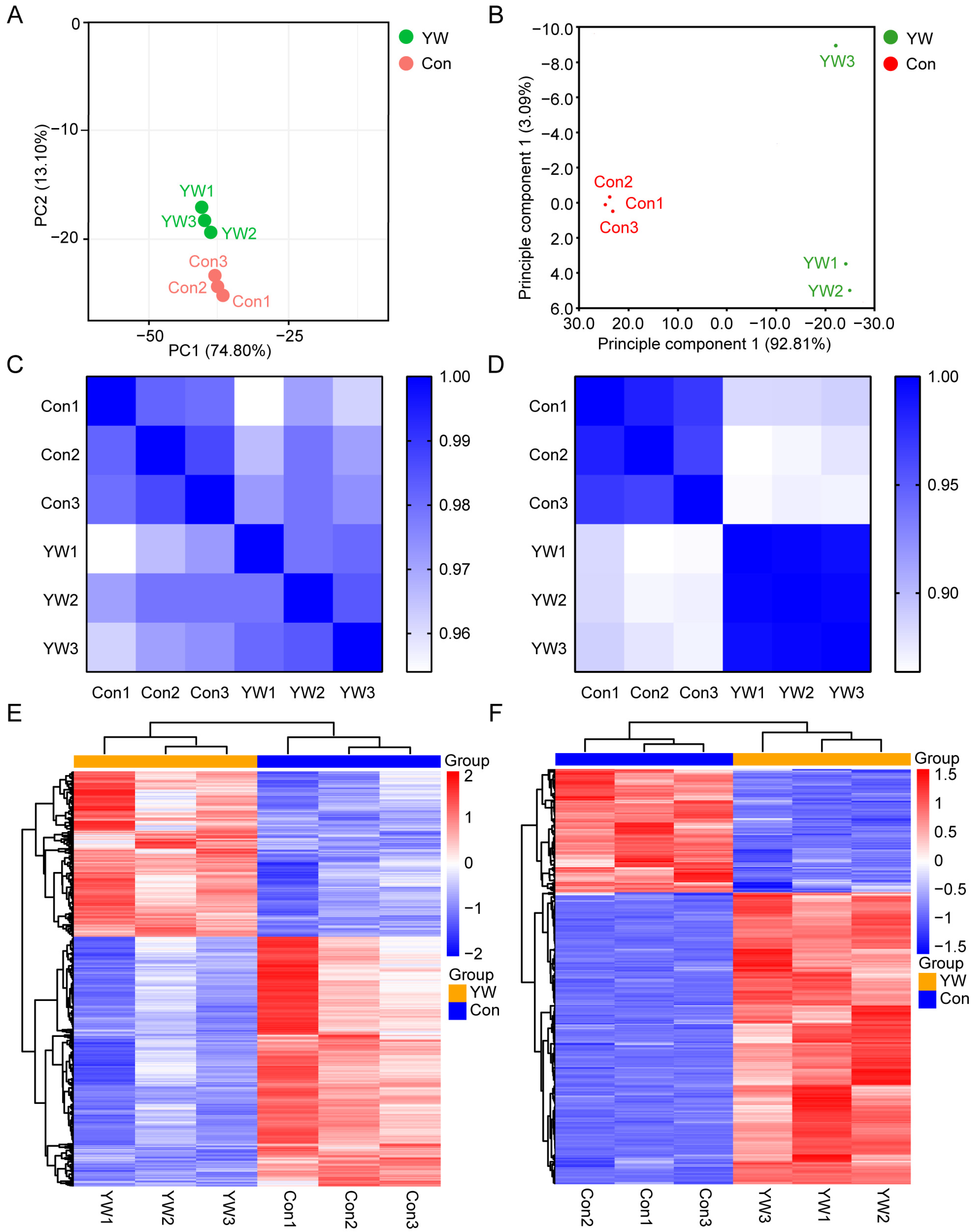 Pharmaceuticals 18 01646 g003 Pharmaceuticals 18 01646 g003