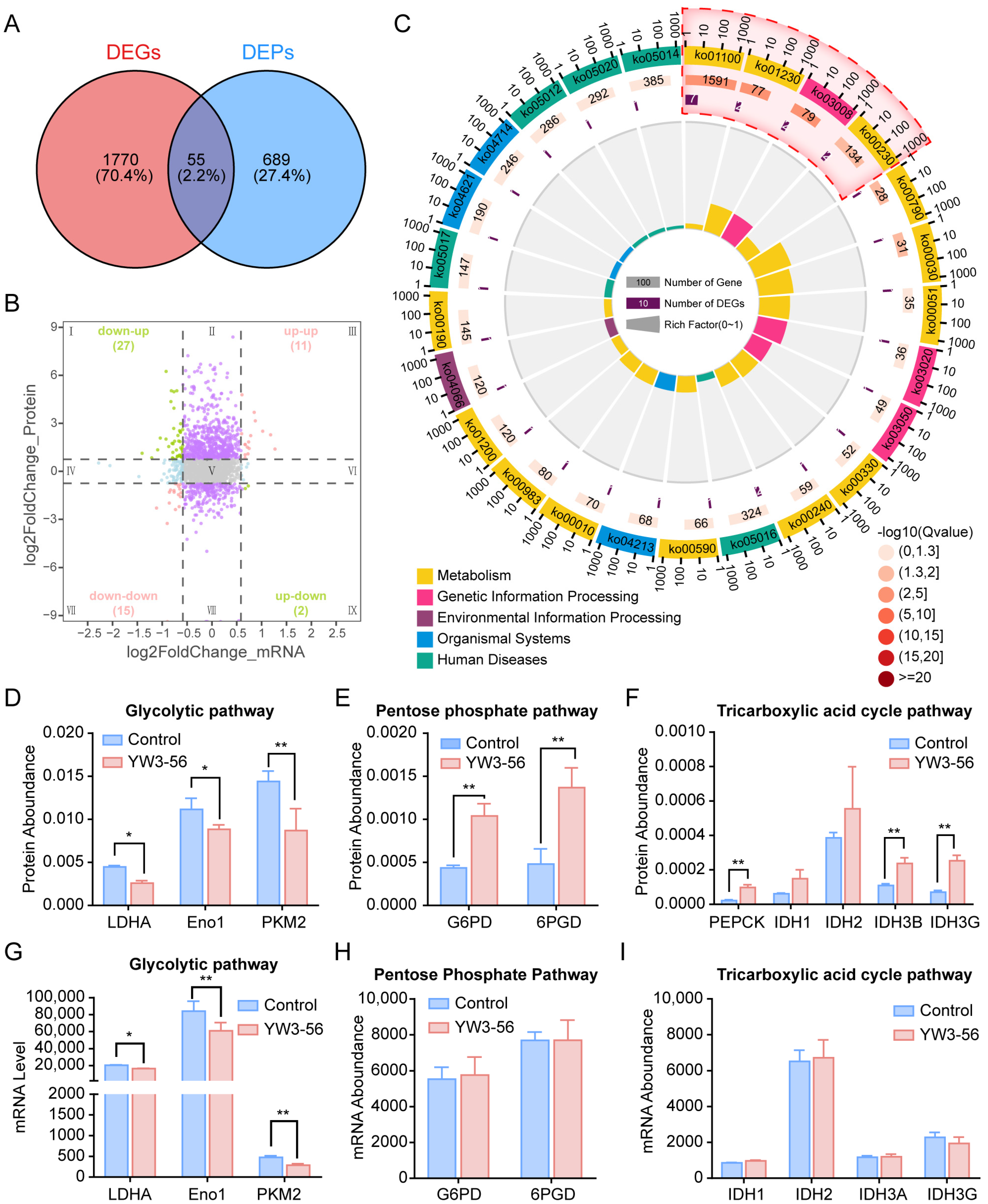 Pharmaceuticals 18 01646 g004 Pharmaceuticals 18 01646 g004