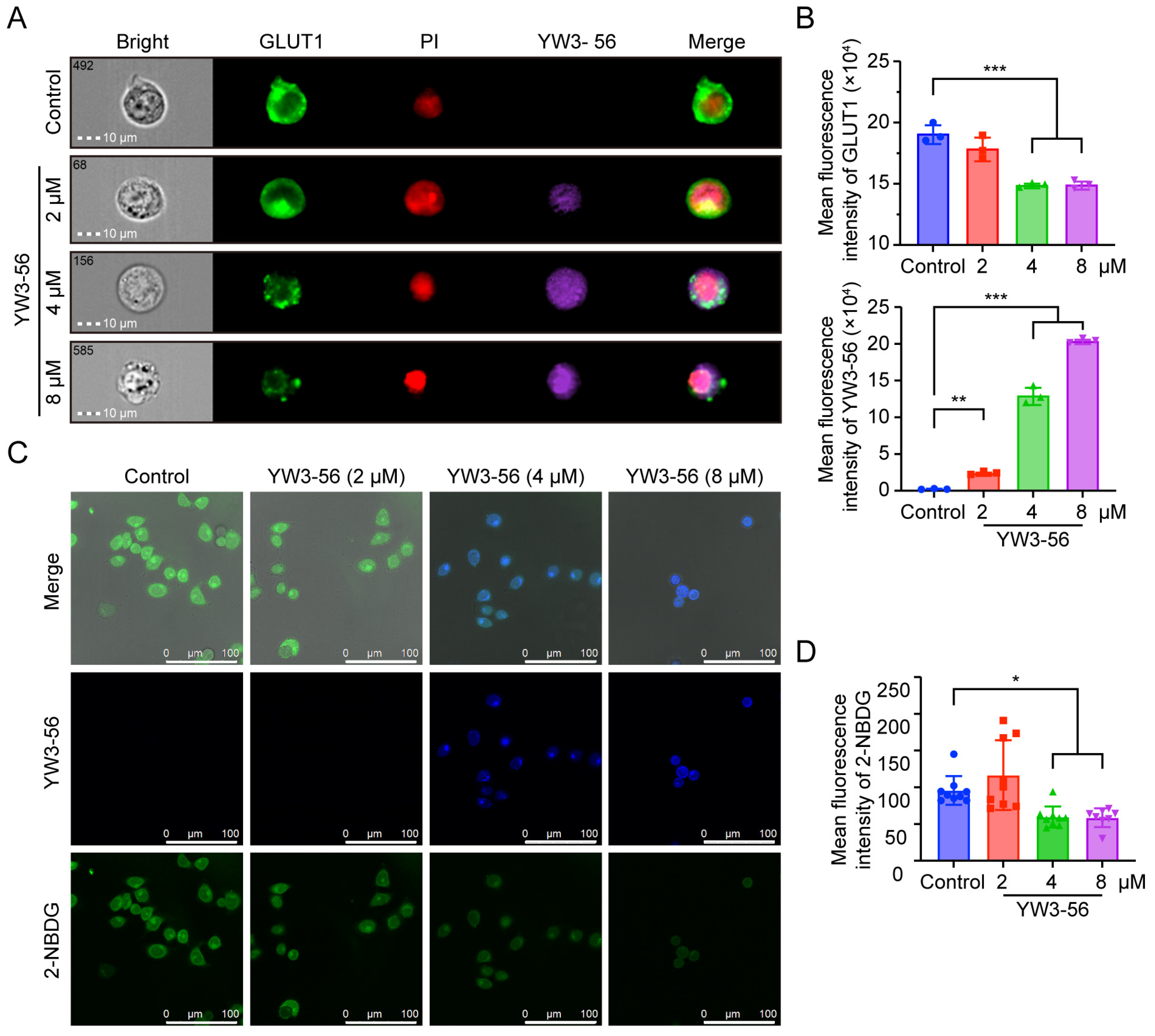 Pharmaceuticals 18 01646 g006 Pharmaceuticals 18 01646 g006