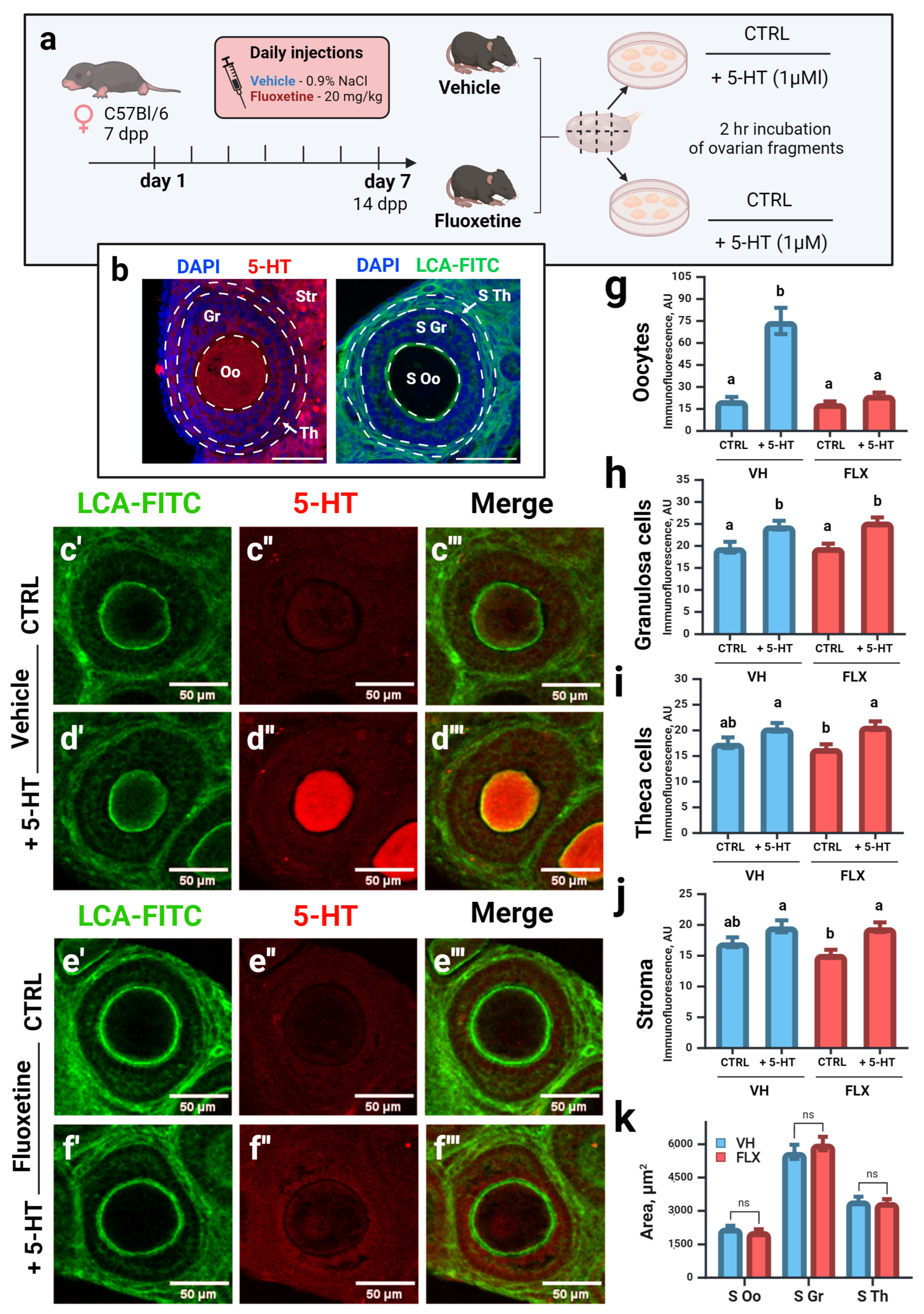 Pharmaceuticals 18 01647 g002