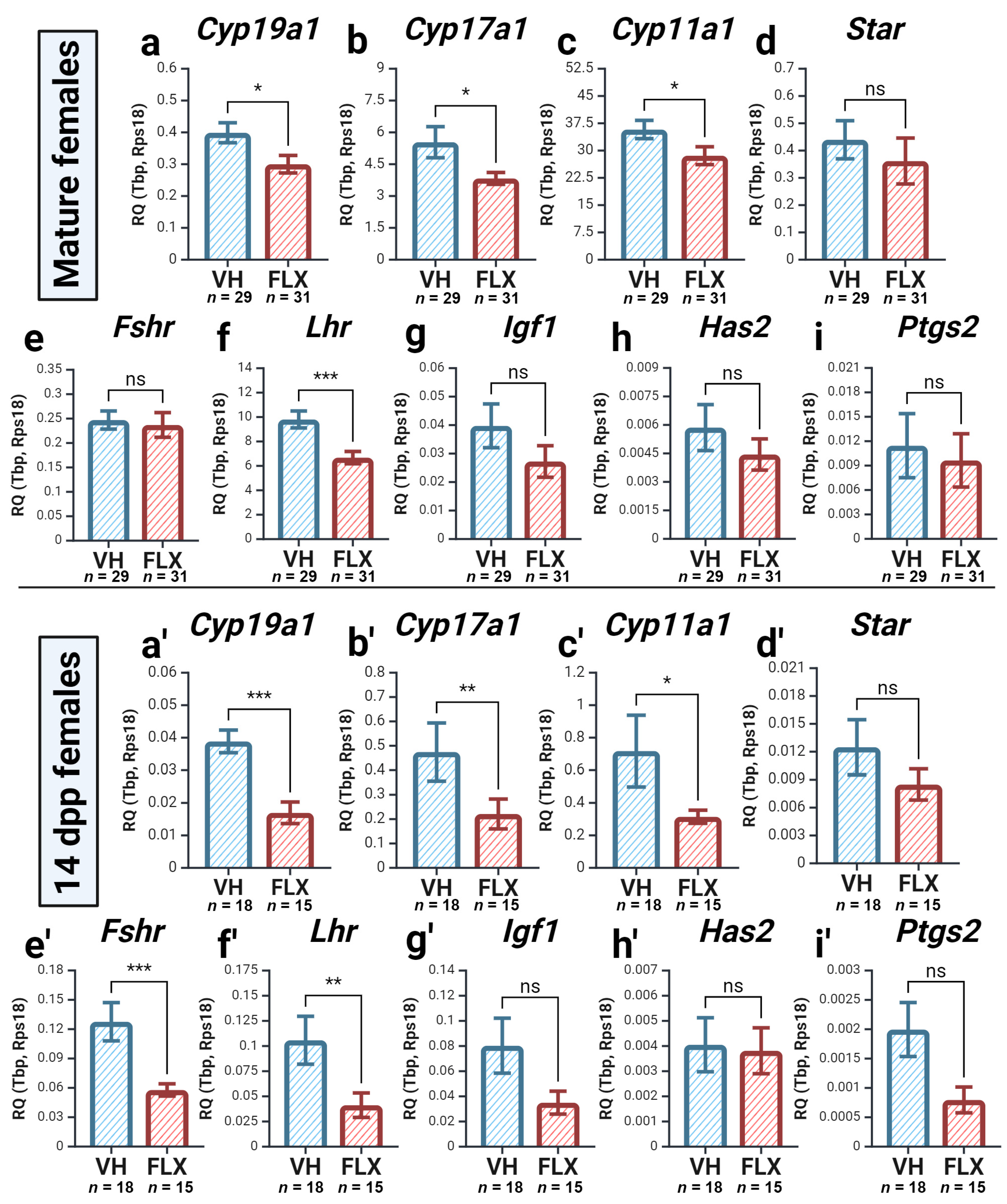 Pharmaceuticals 18 01647 g004