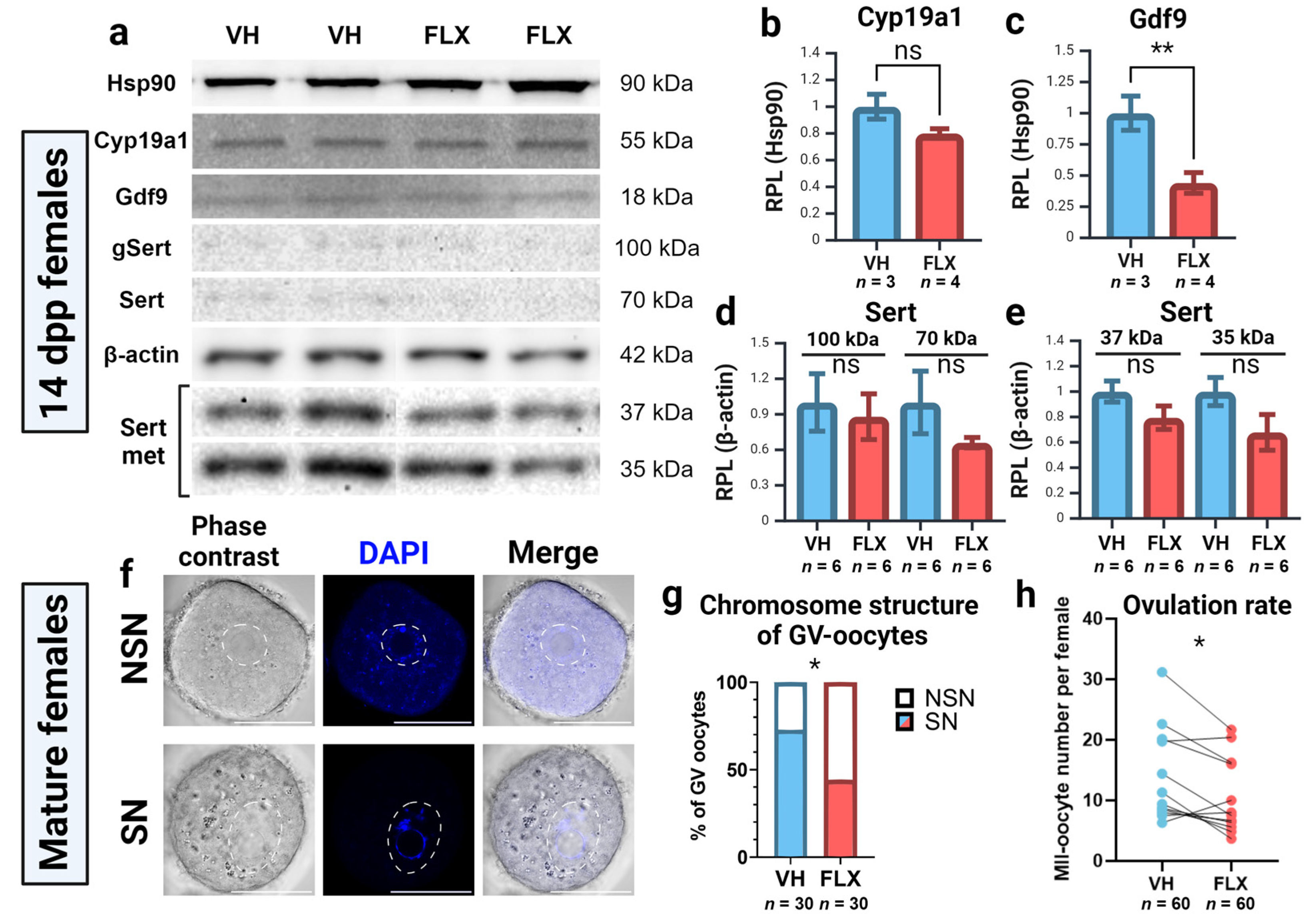 Pharmaceuticals 18 01647 g005