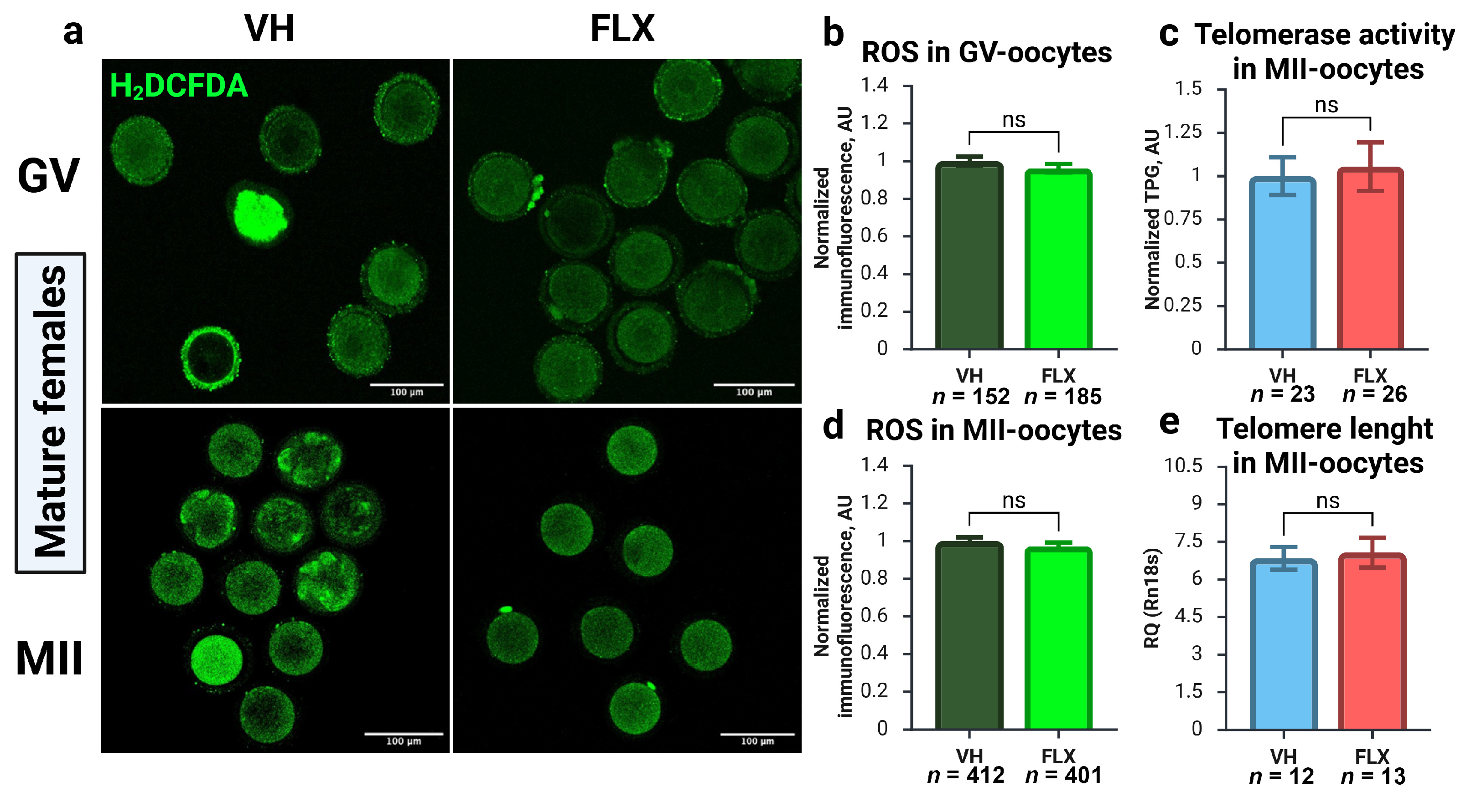 Pharmaceuticals 18 01647 g006