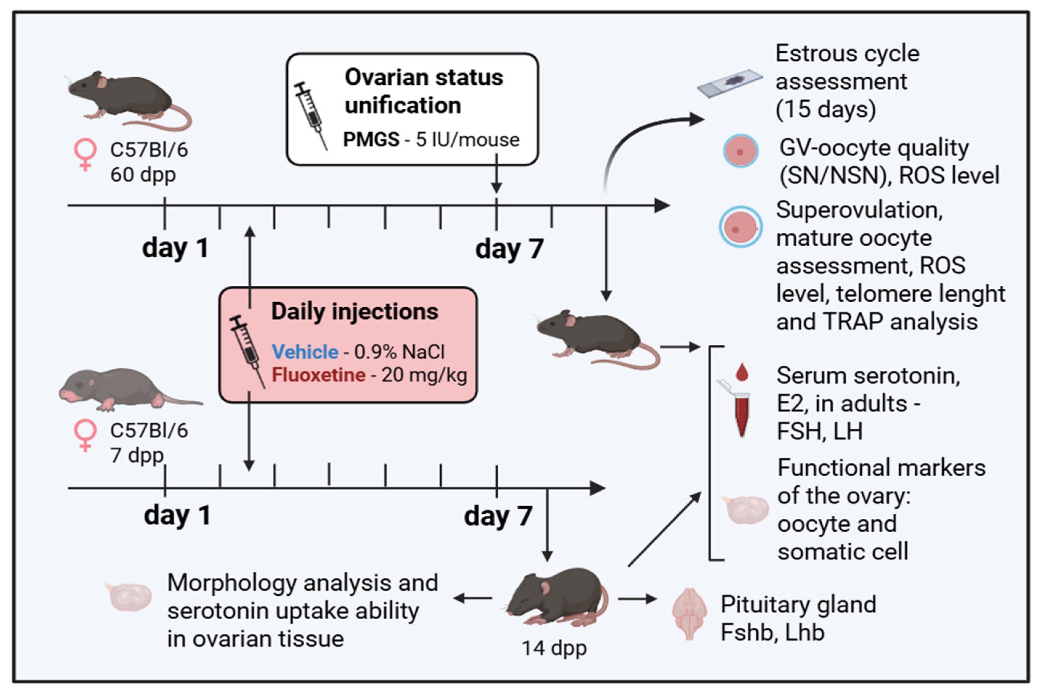 Pharmaceuticals 18 01647 g007