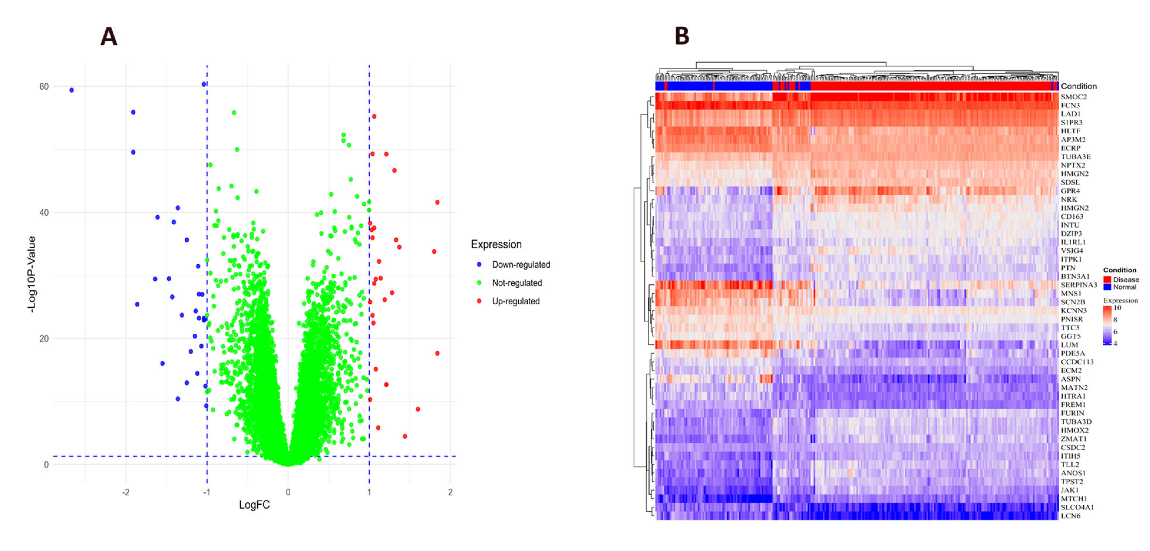 Pharmaceuticals 18 01648 g002
