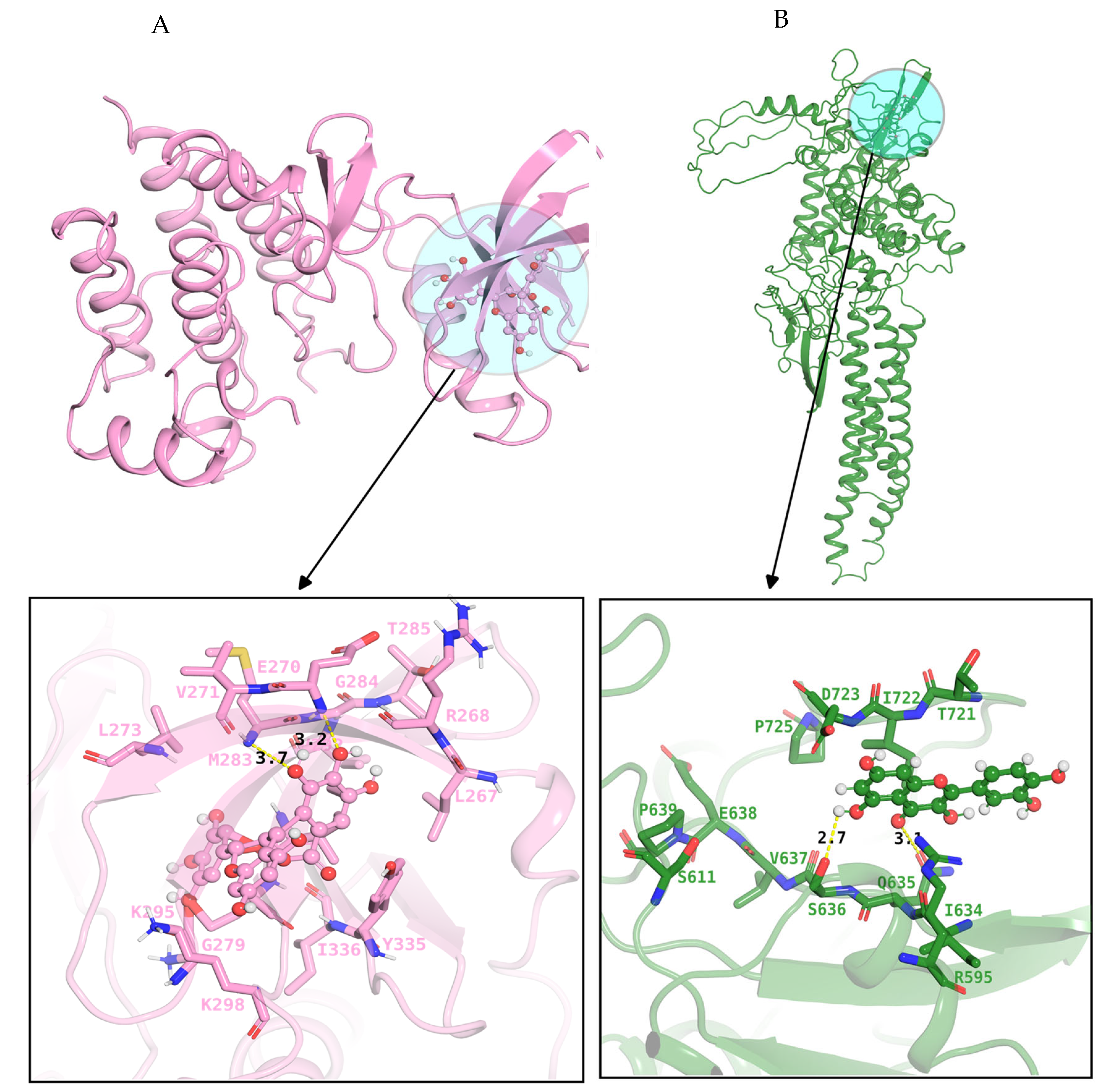 Pharmaceuticals 18 01648 g006a