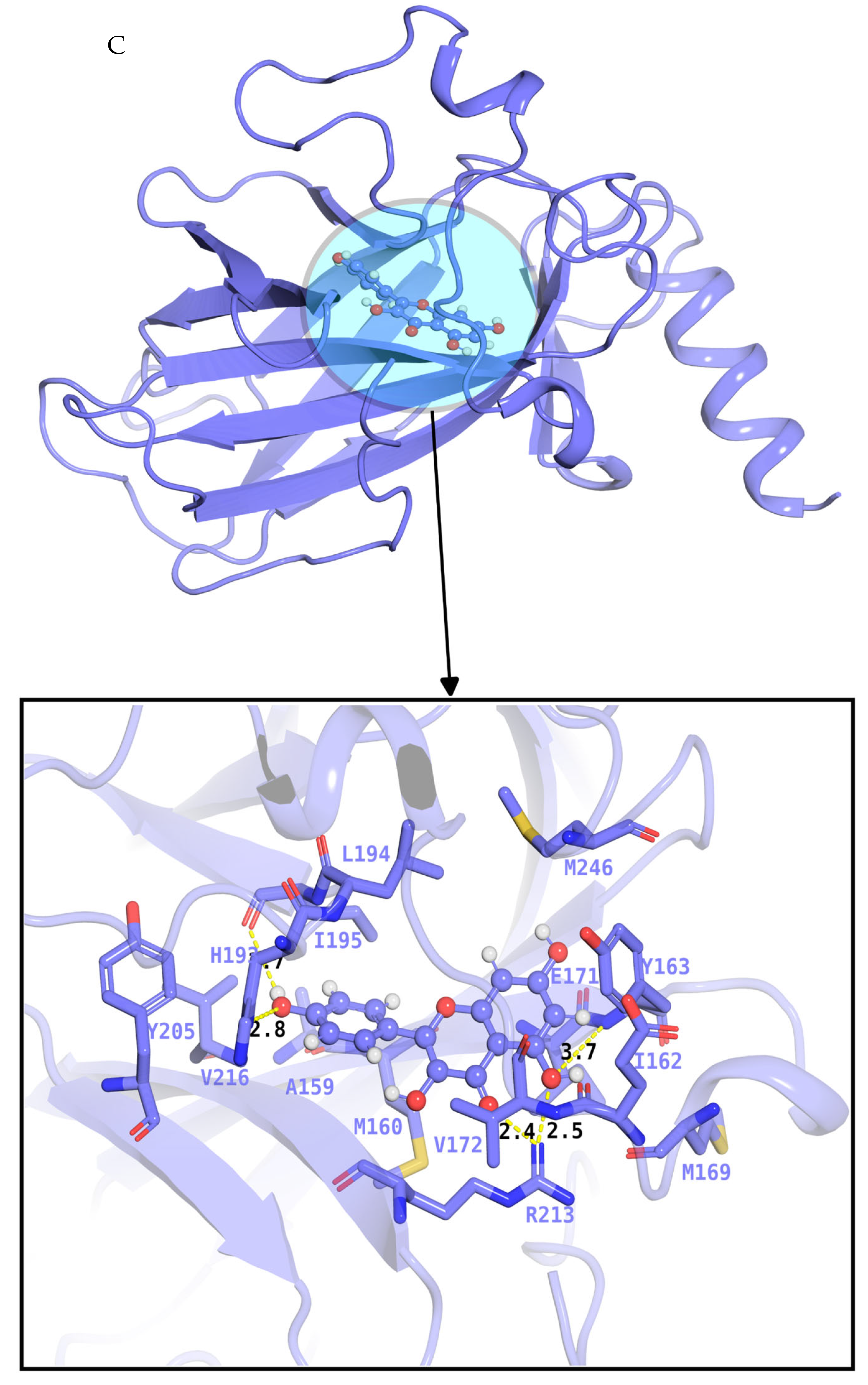 Pharmaceuticals 18 01648 g006b