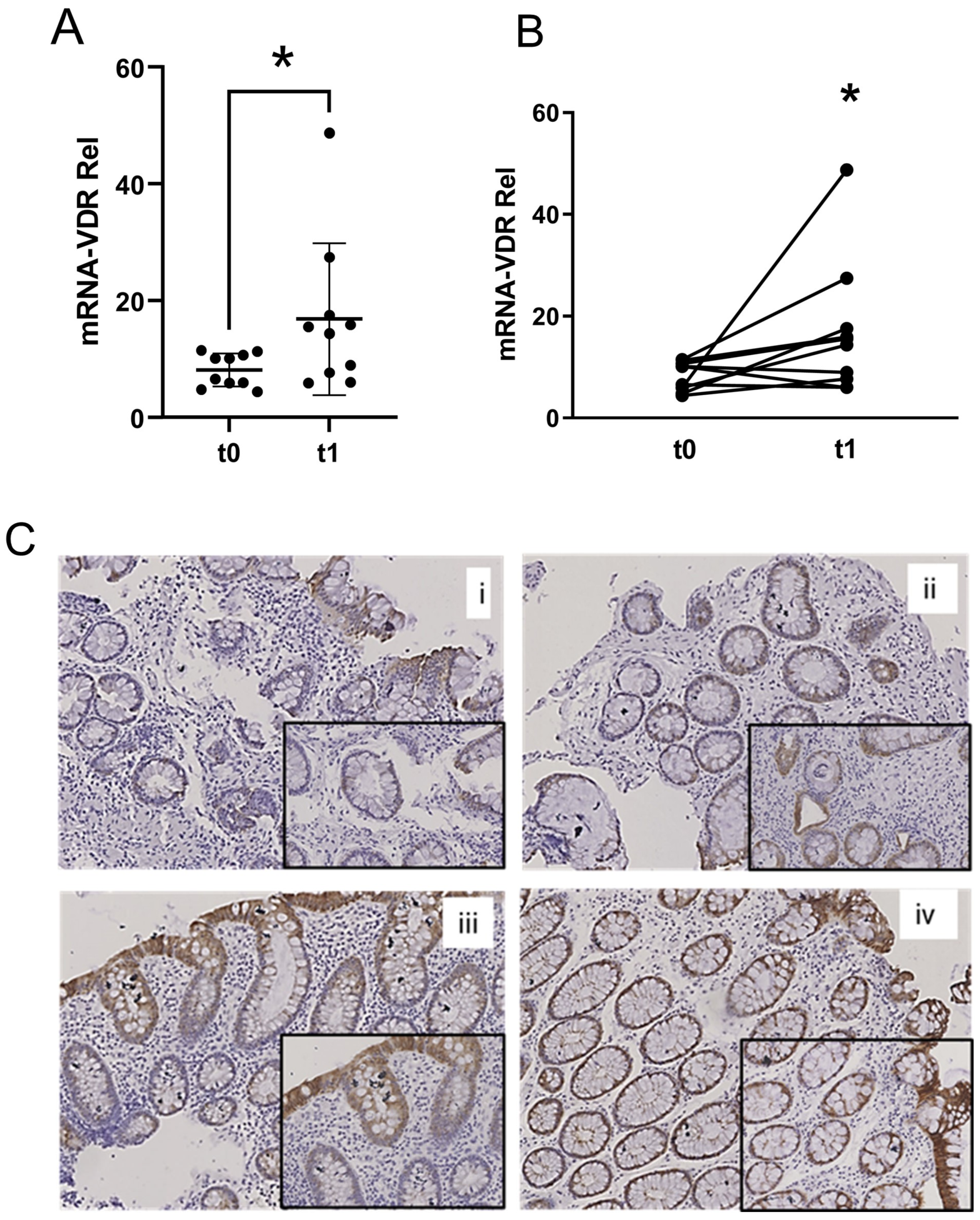 Pharmaceuticals 18 01651 g001