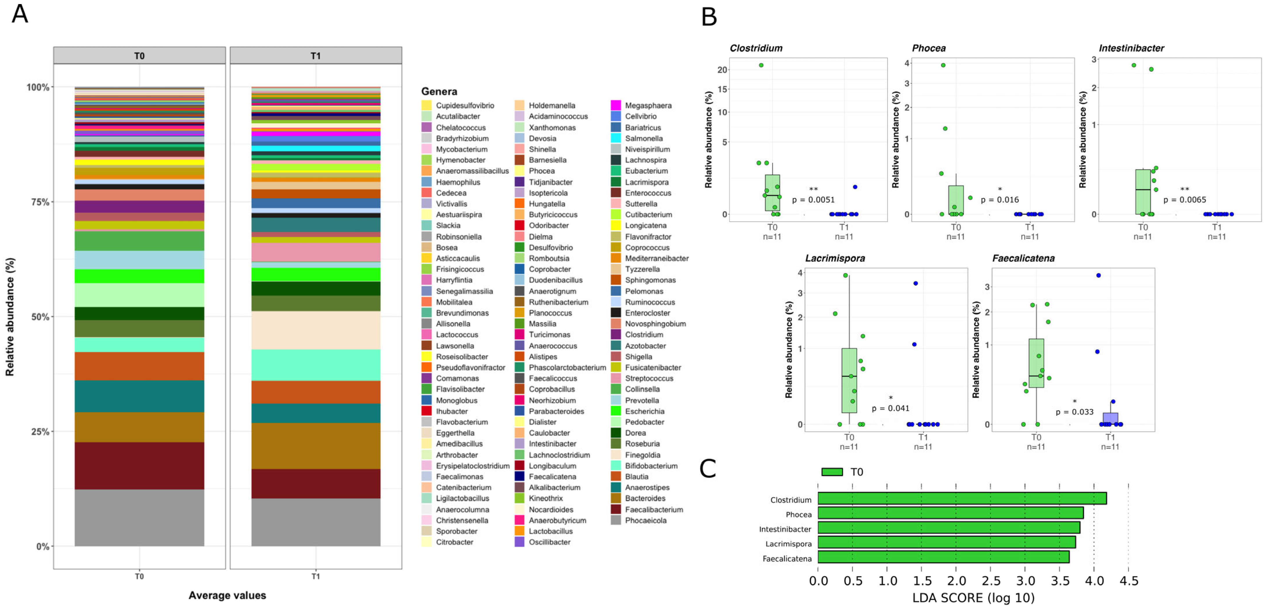 Pharmaceuticals 18 01651 g003