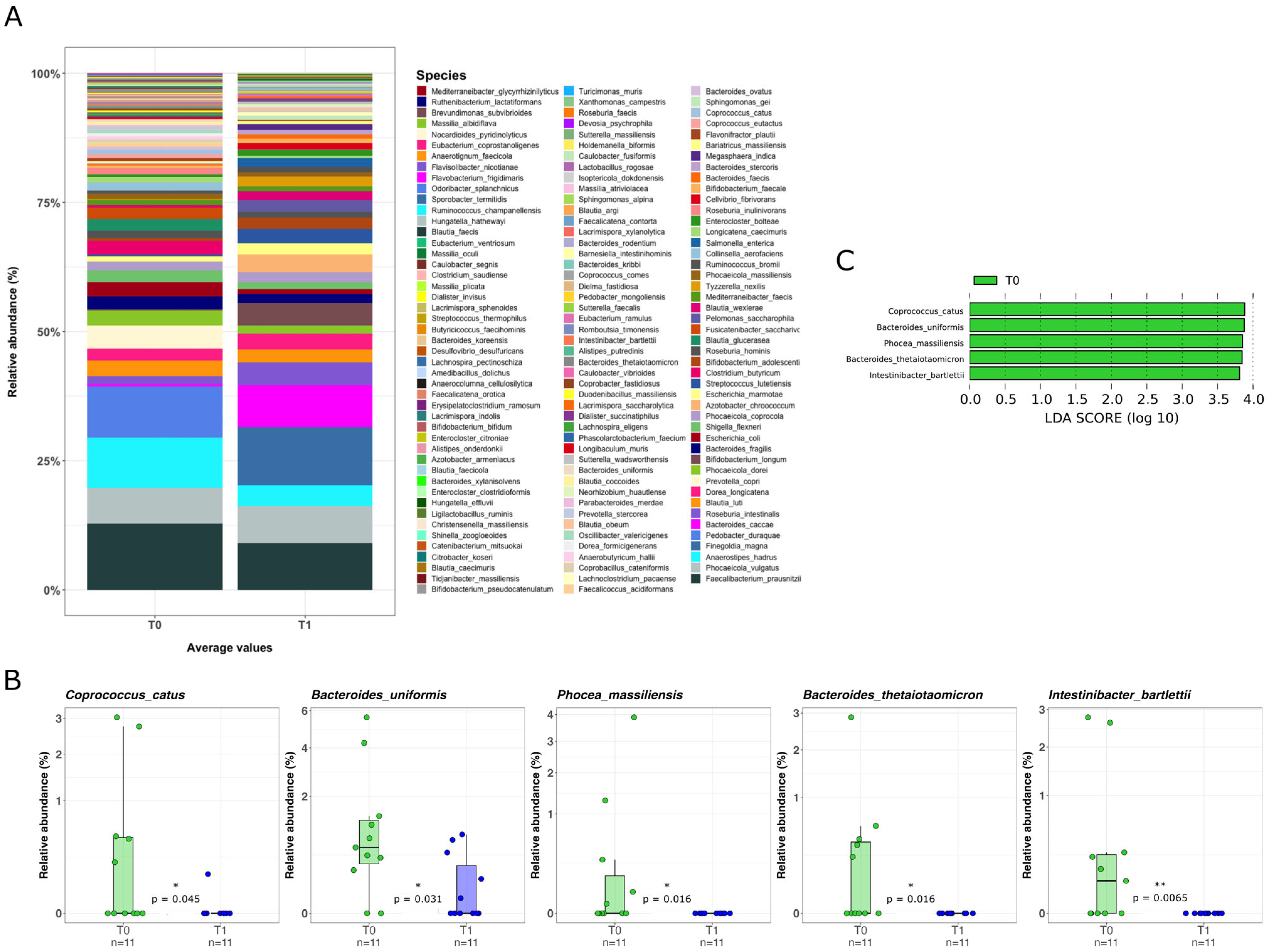 Pharmaceuticals 18 01651 g004