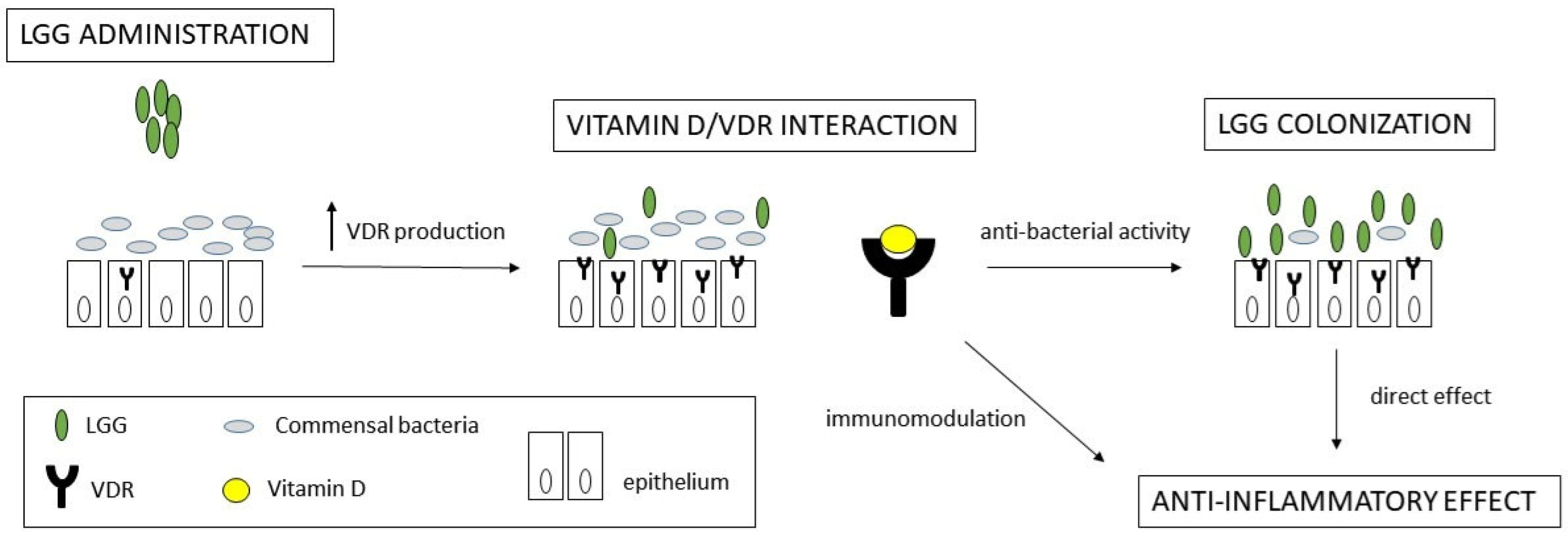 Pharmaceuticals 18 01651 g005