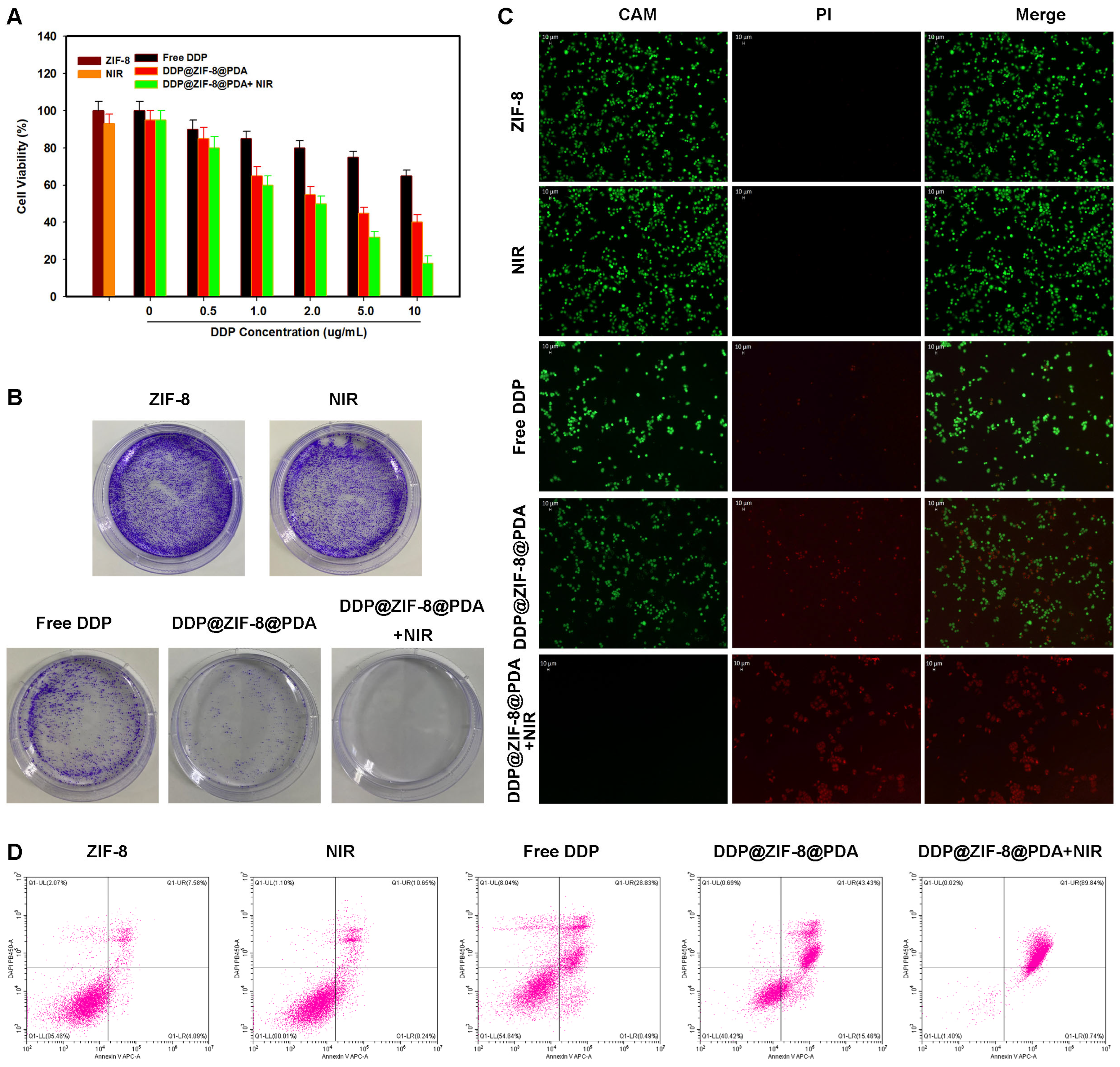 Pharmaceuticals 18 01657 g004 Pharmaceuticals 18 01657 g004