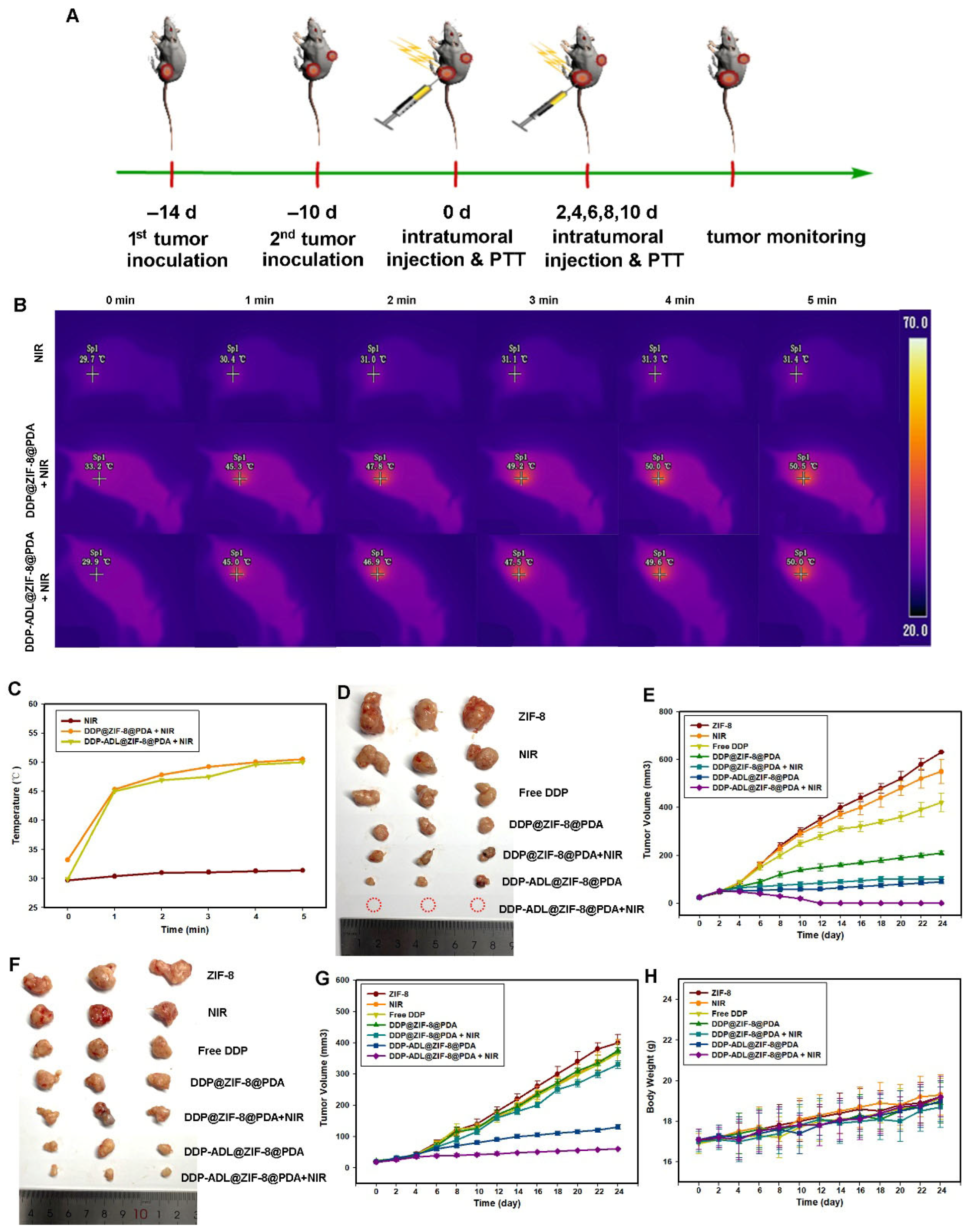 Pharmaceuticals 18 01657 g005 Pharmaceuticals 18 01657 g005