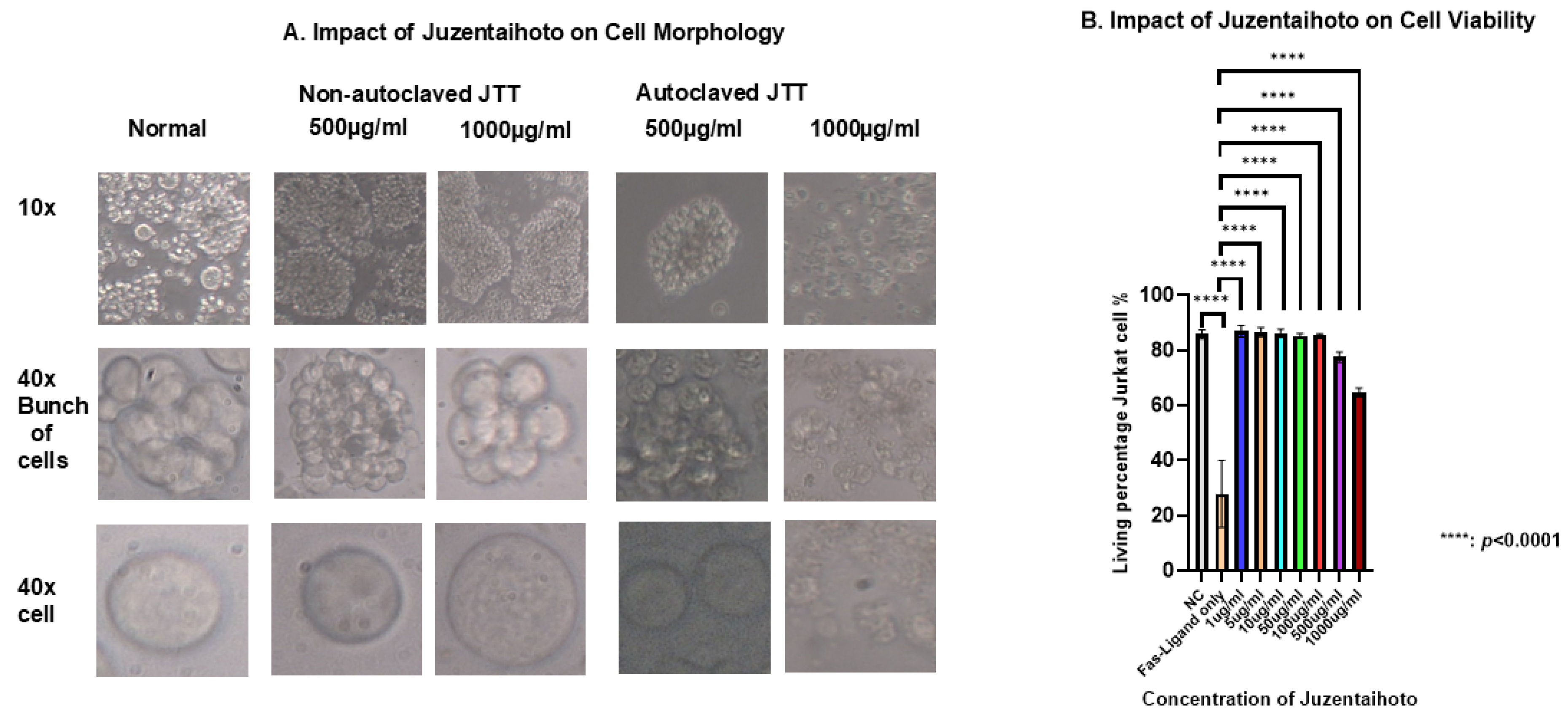 Pharmaceuticals 18 01658 g003a