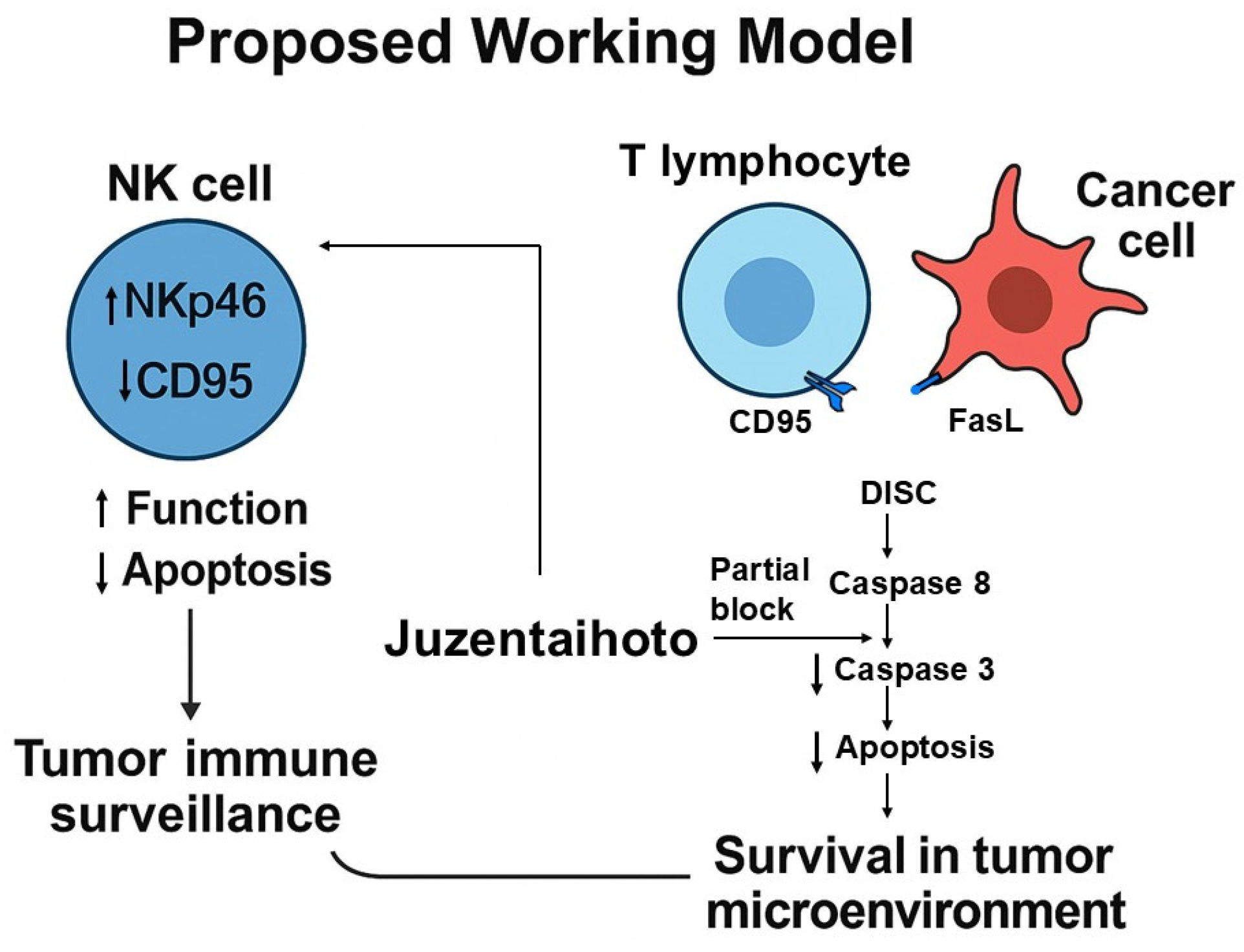 Pharmaceuticals 18 01658 g010