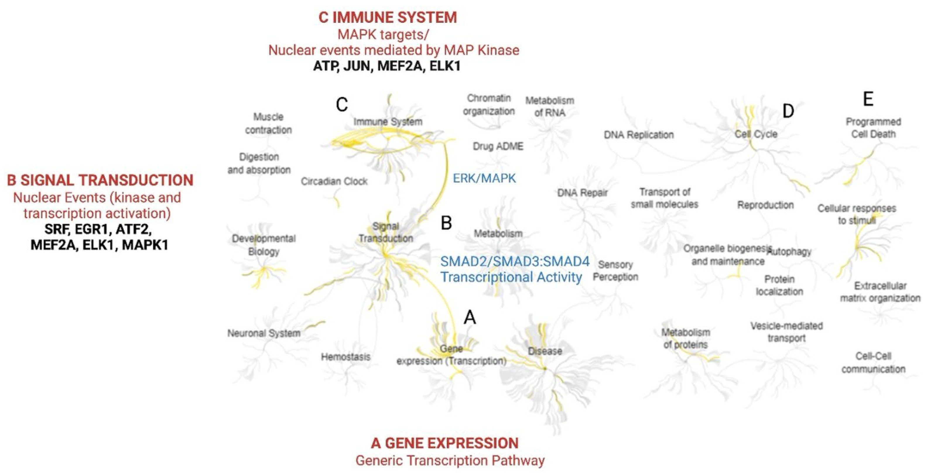 Pharmaceuticals 18 01665 g004 Pharmaceuticals 18 01665 g004