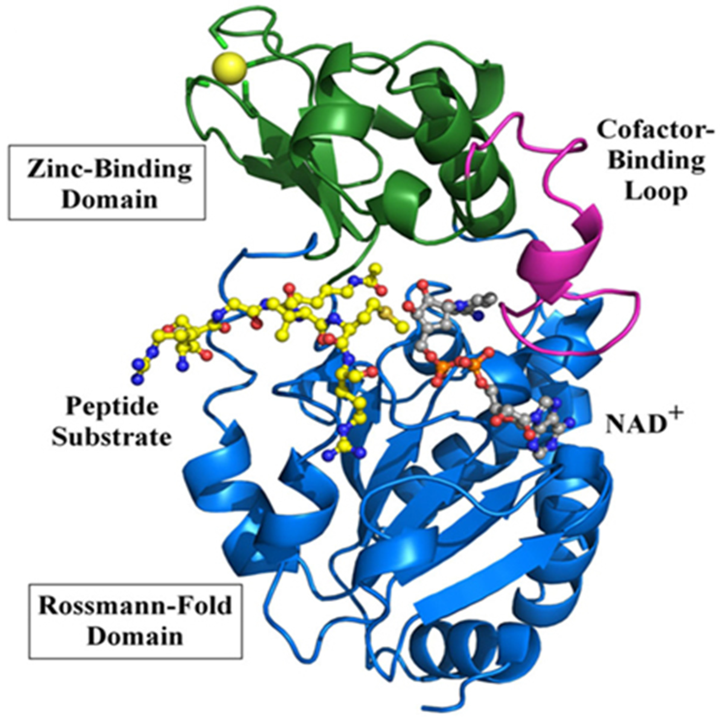 Pharmaceuticals 18 01668 g001 Pharmaceuticals 18 01668 g001