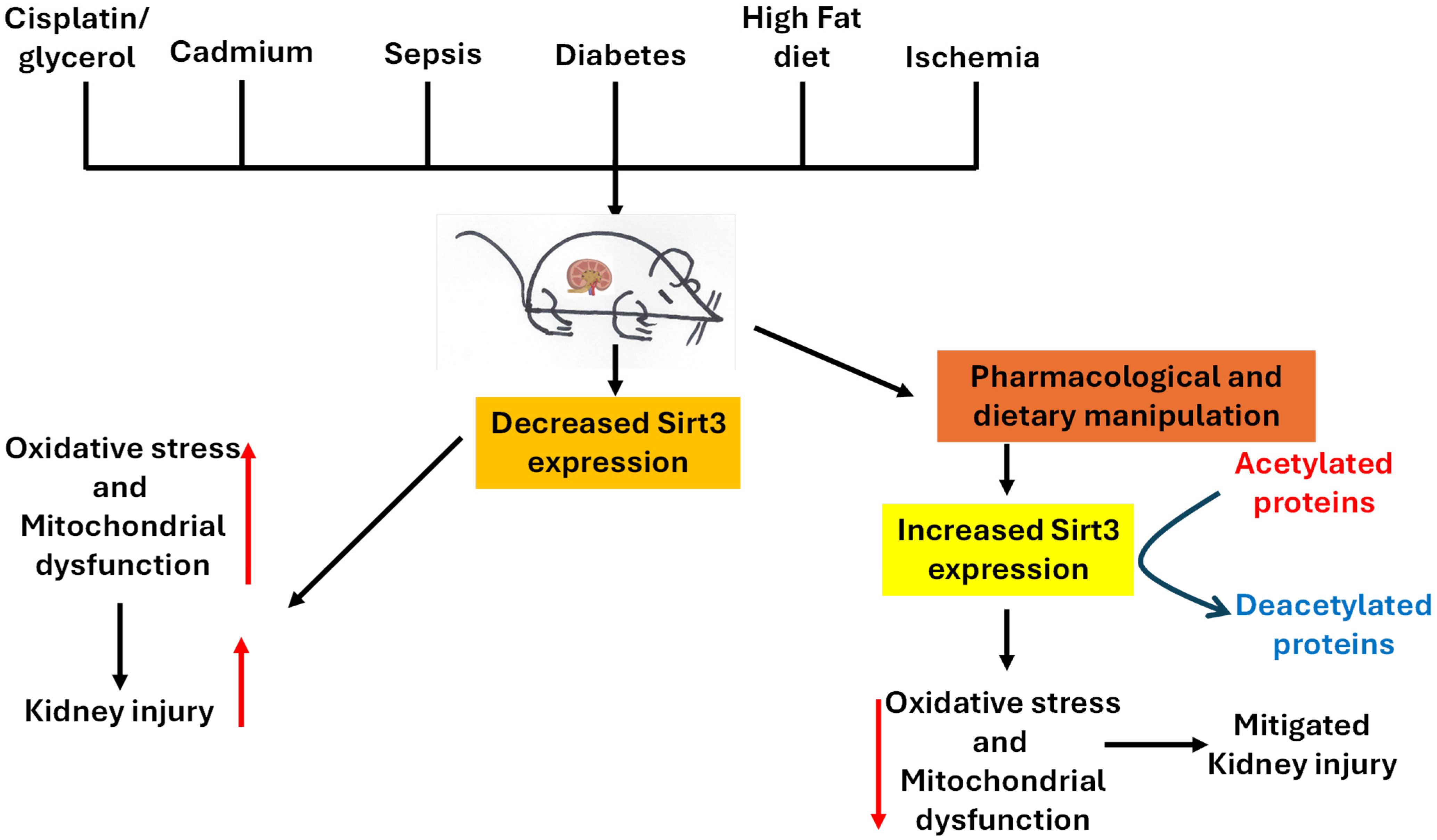 Pharmaceuticals 18 01668 g003 Pharmaceuticals 18 01668 g003