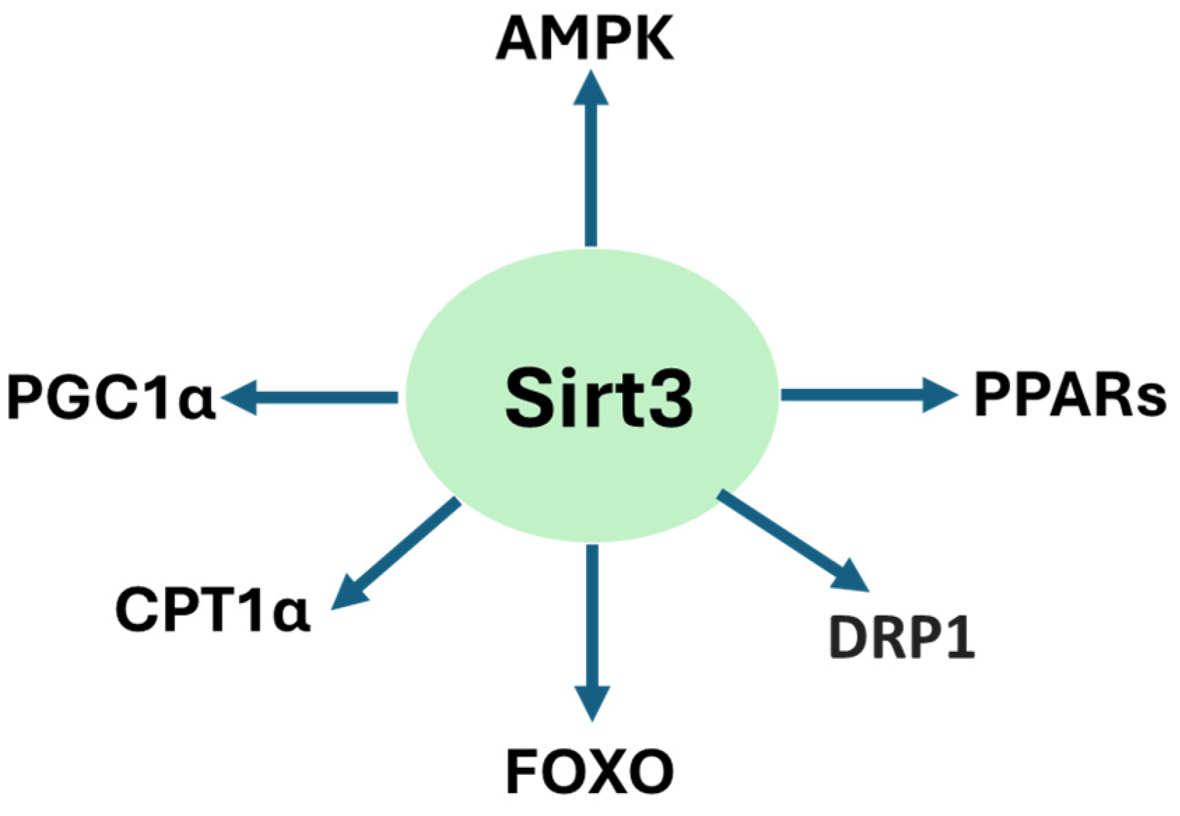 Pharmaceuticals 18 01668 g004 Pharmaceuticals 18 01668 g004