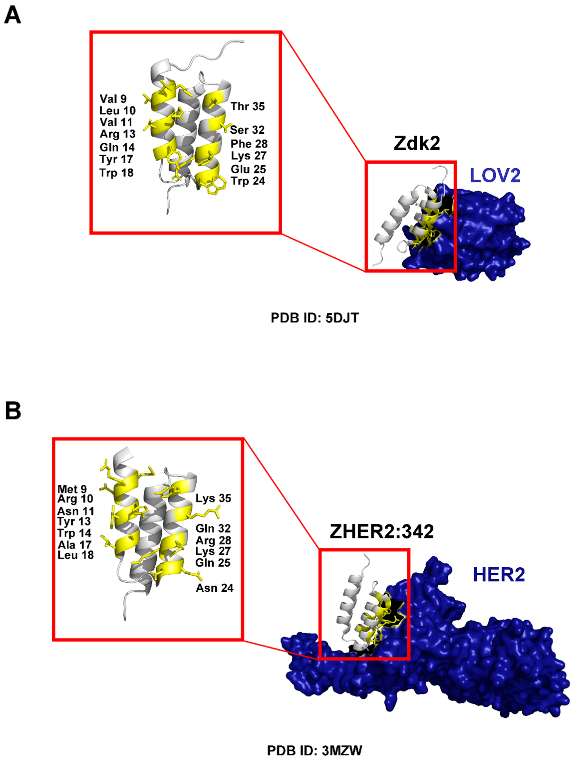 Pharmaceuticals 18 01669 g003 Pharmaceuticals 18 01669 g003