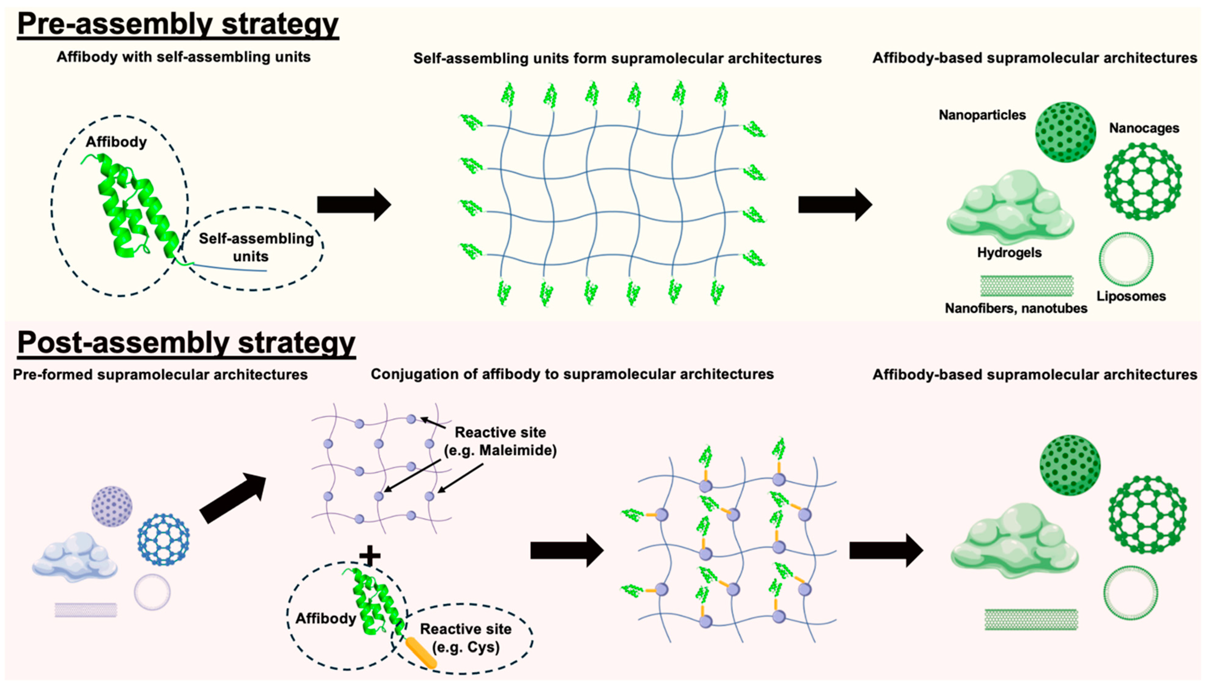 Pharmaceuticals 18 01669 g004 Pharmaceuticals 18 01669 g004