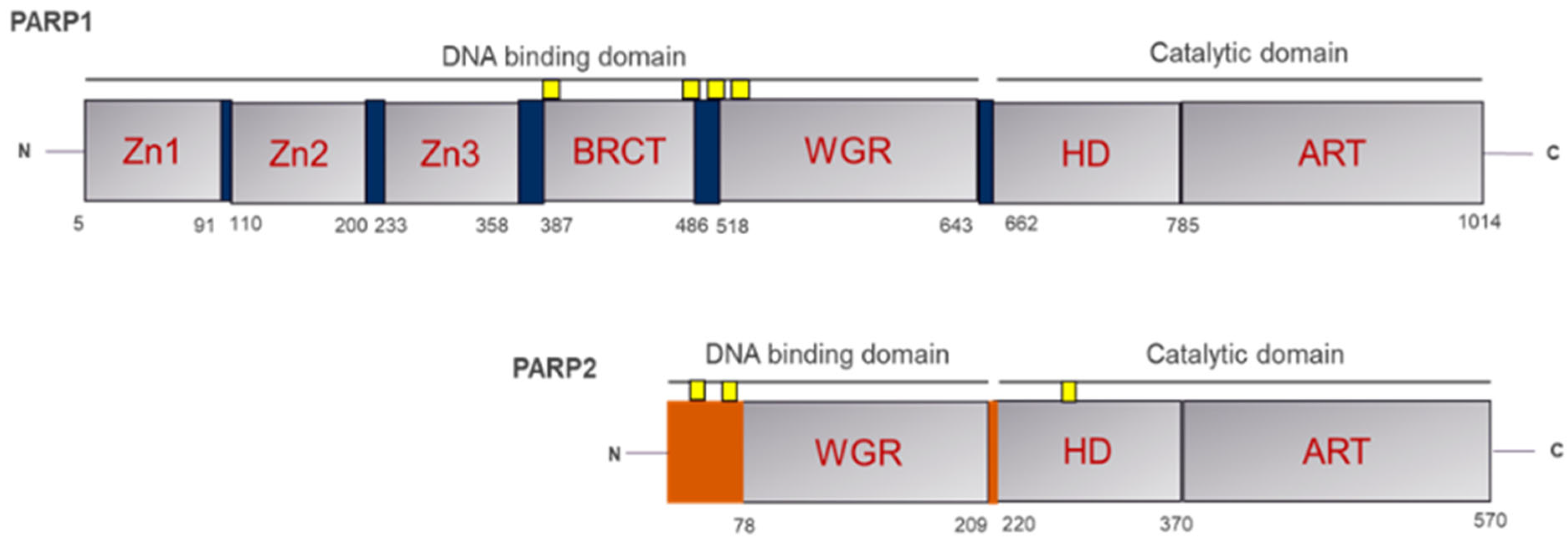 Pharmaceuticals 18 01679 g001