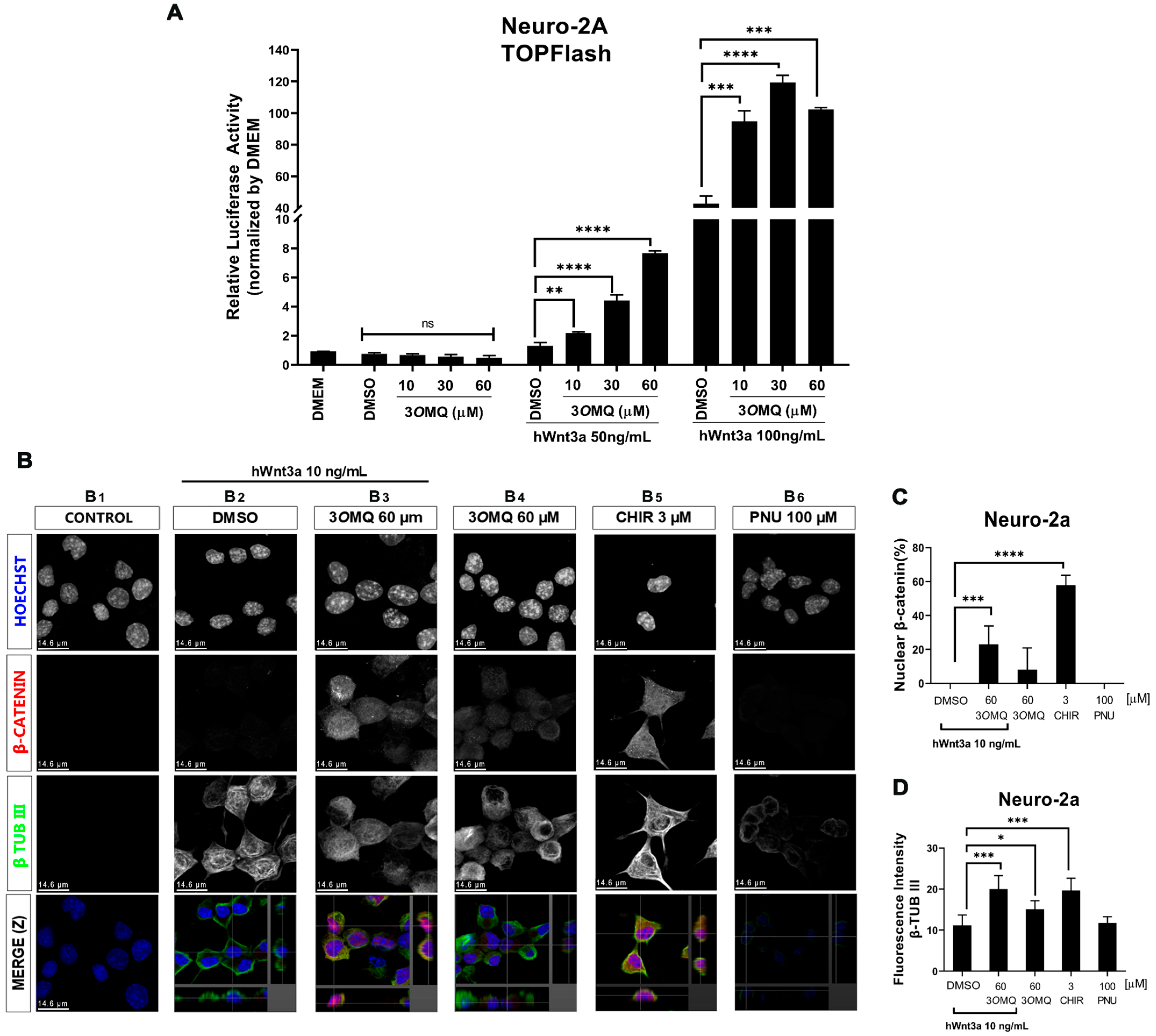 Pharmaceuticals 18 01680 g002 Pharmaceuticals 18 01680 g002