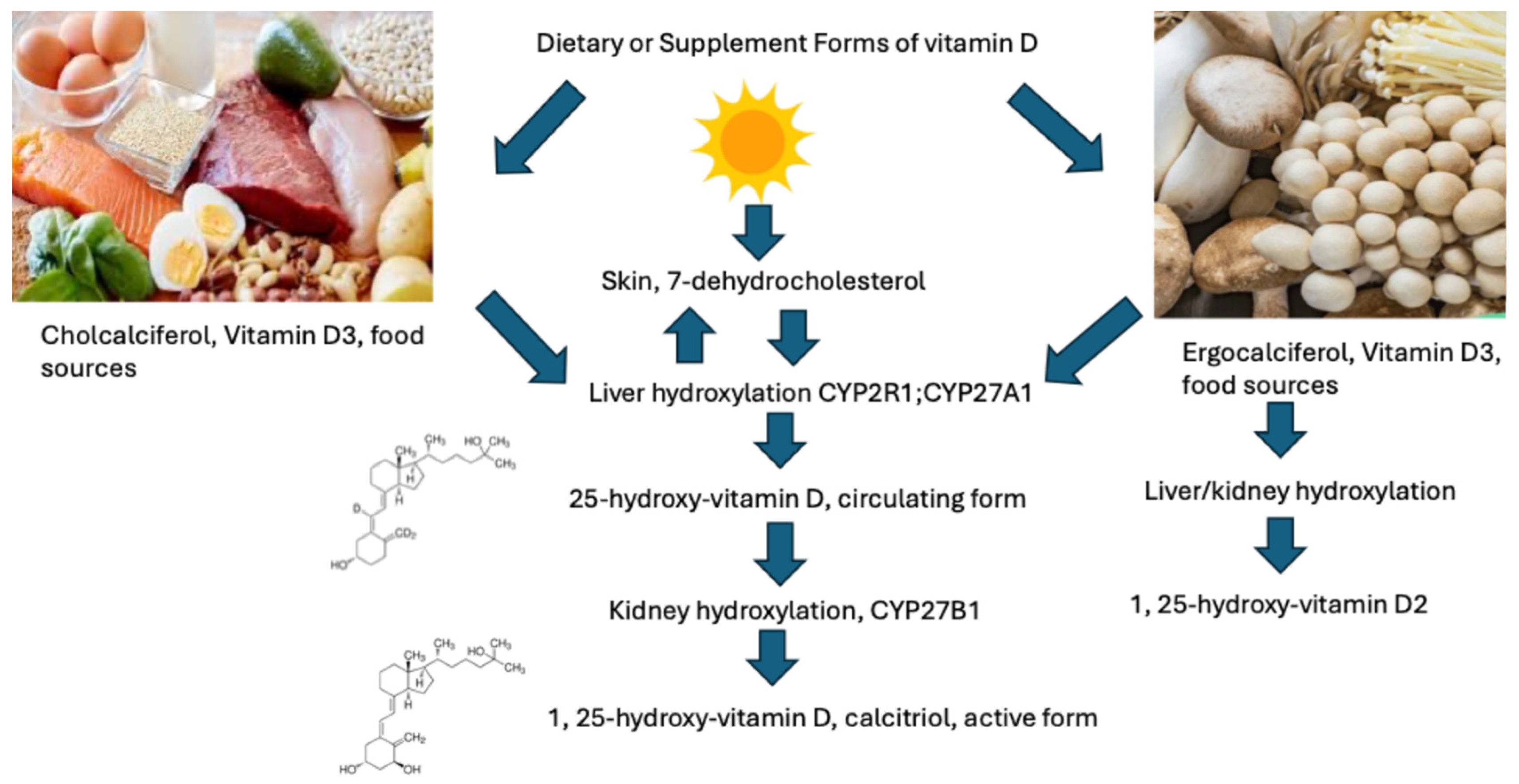 Pharmaceuticals 18 01684 g001 Pharmaceuticals 18 01684 g001