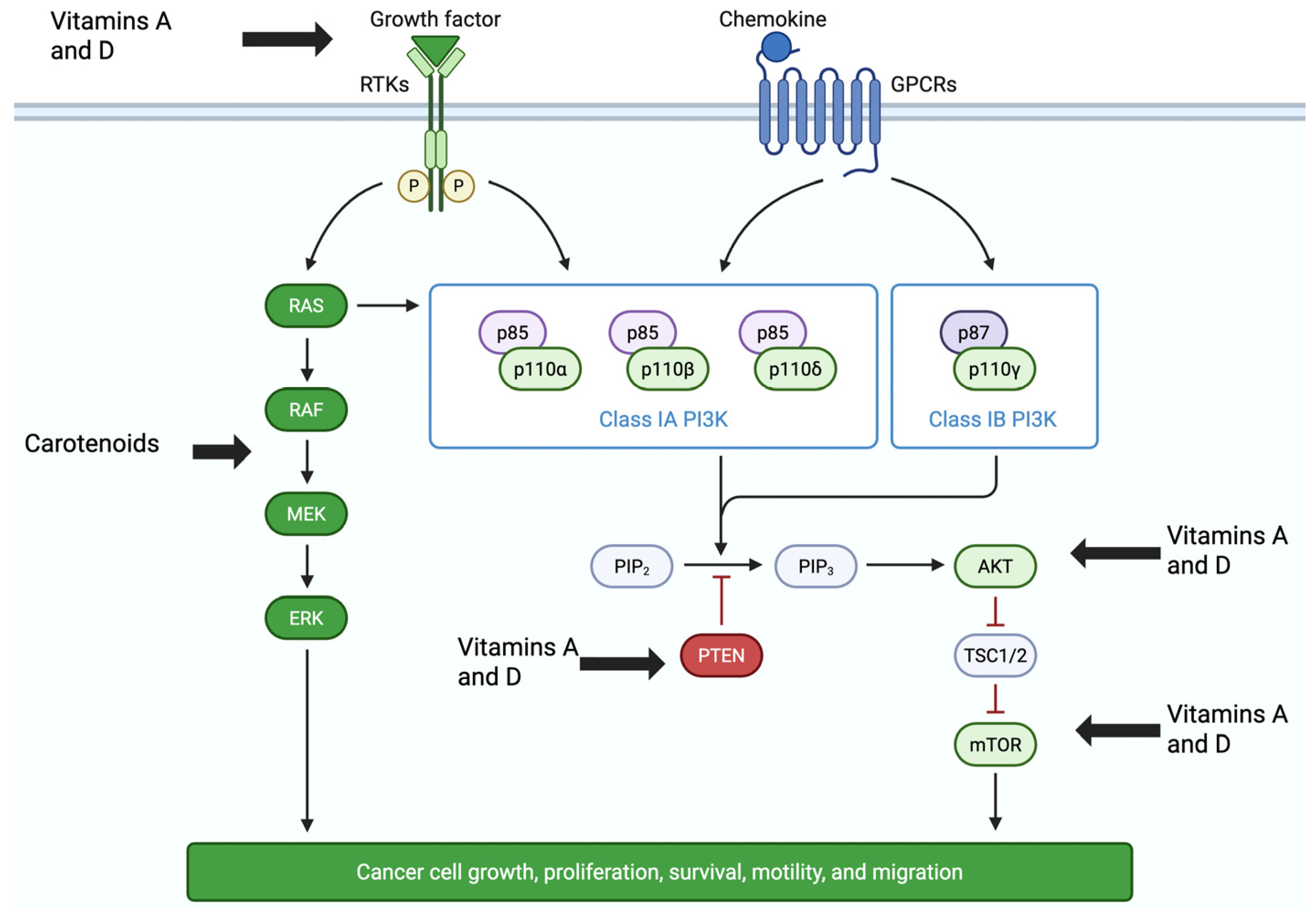 Pharmaceuticals 18 01684 g003 Pharmaceuticals 18 01684 g003