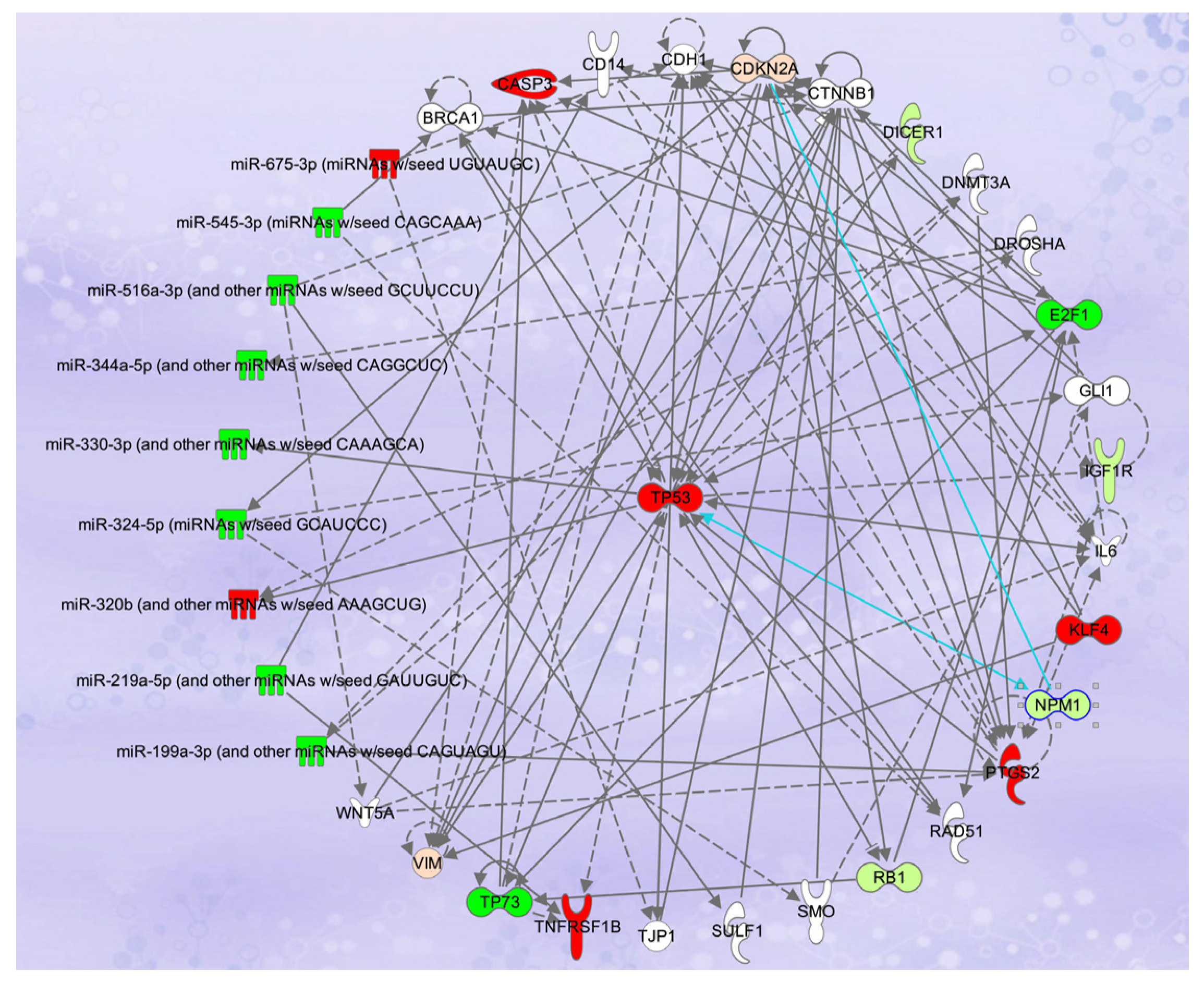 Pharmaceuticals 18 01684 g004 Pharmaceuticals 18 01684 g004