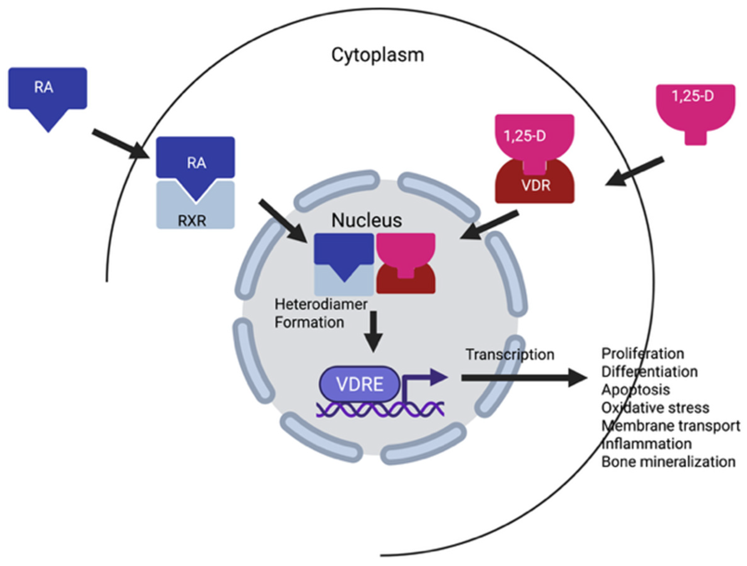 Pharmaceuticals 18 01684 g005 Pharmaceuticals 18 01684 g005
