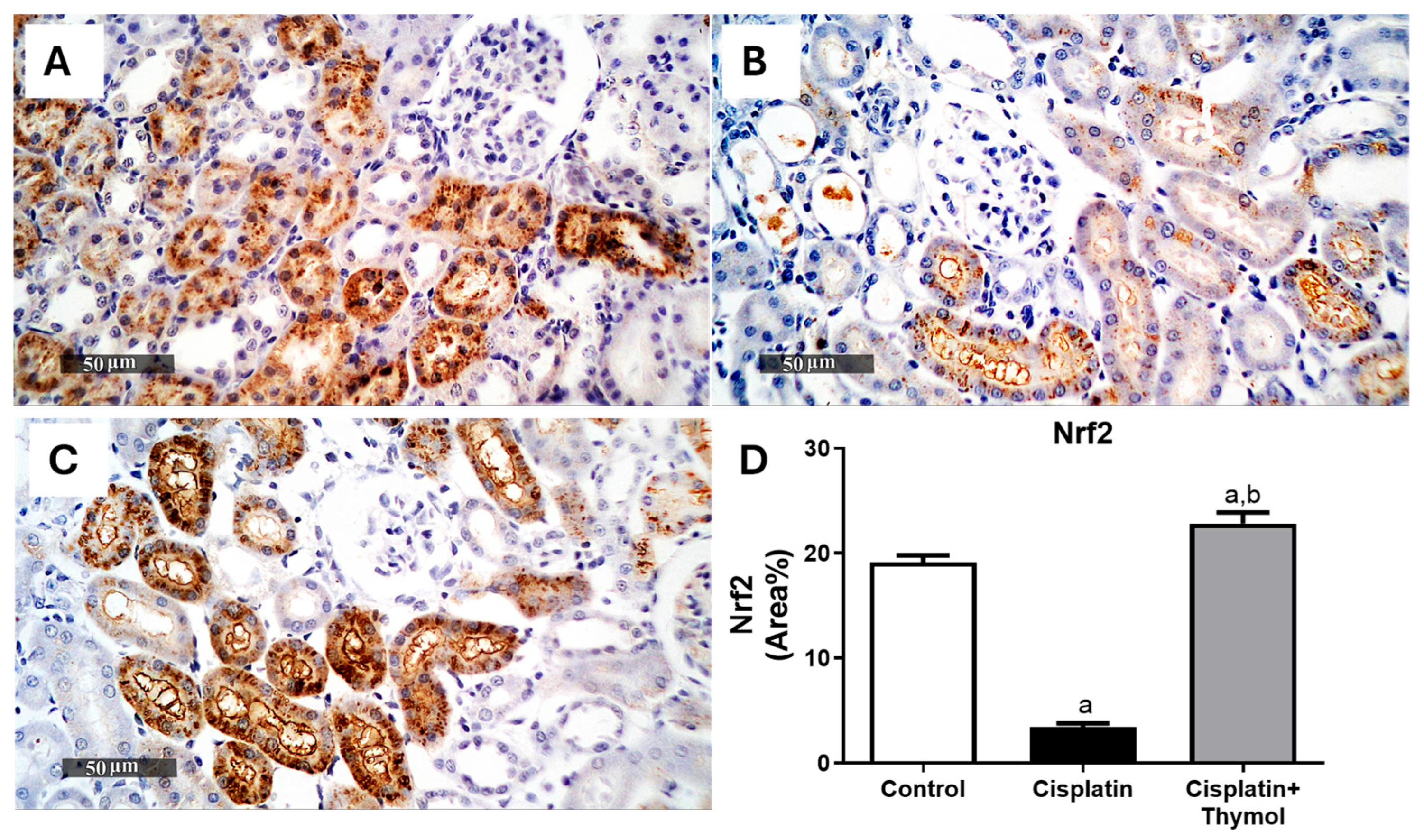 Pharmaceuticals 18 01686 g004 Pharmaceuticals 18 01686 g004