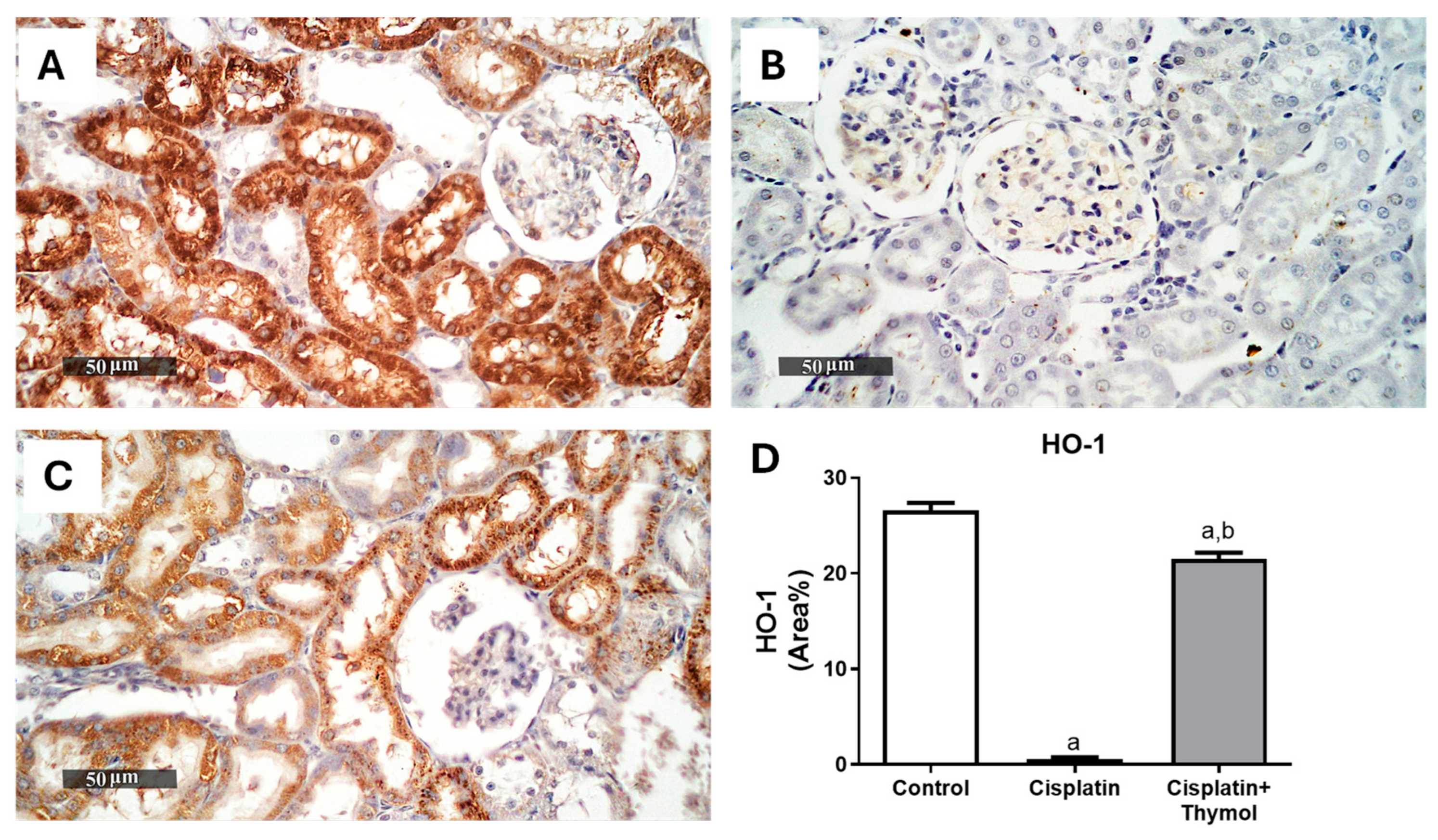 Pharmaceuticals 18 01686 g005 Pharmaceuticals 18 01686 g005