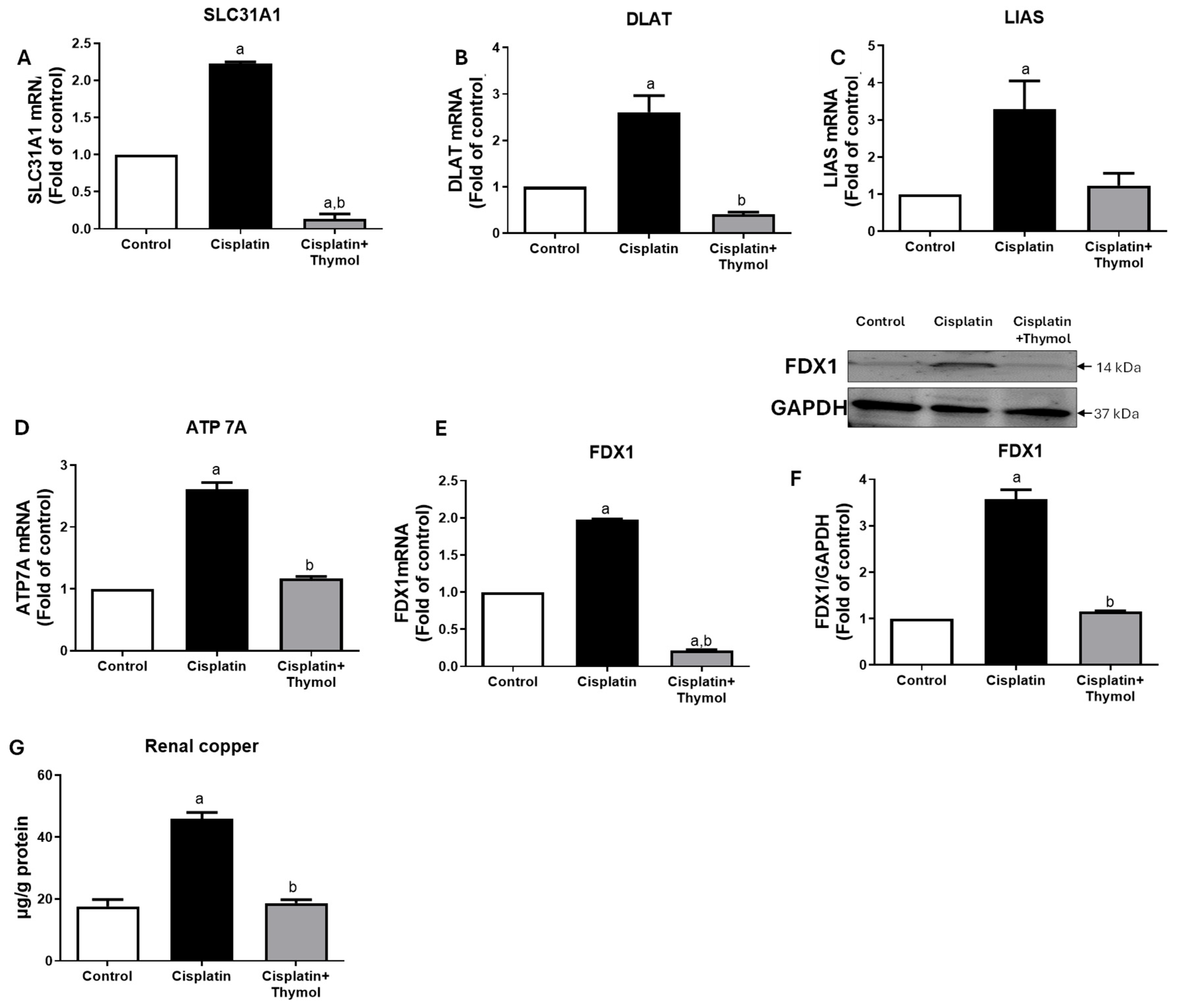 Pharmaceuticals 18 01686 g006 Pharmaceuticals 18 01686 g006
