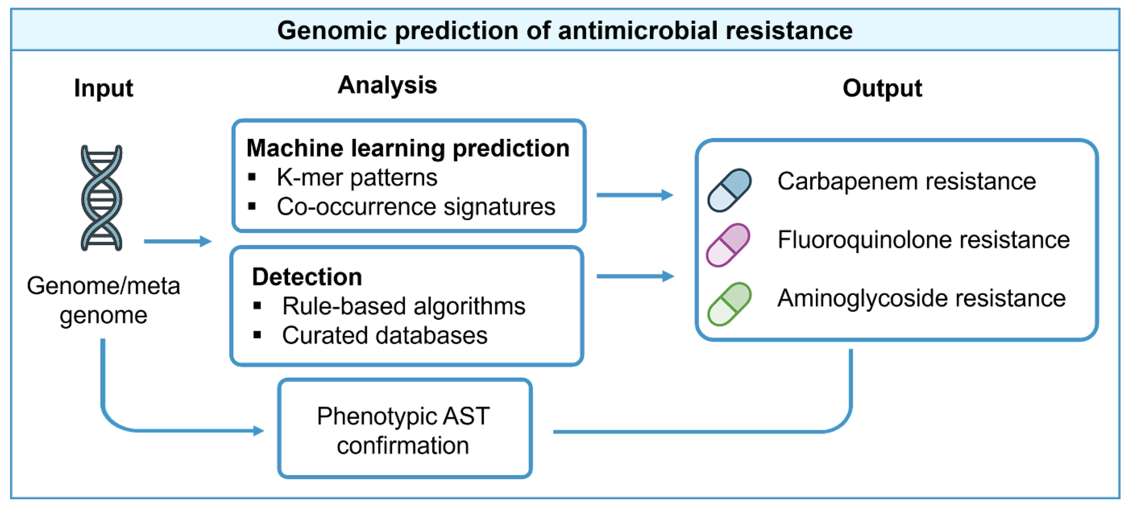 Pharmaceuticals 18 01687 g003