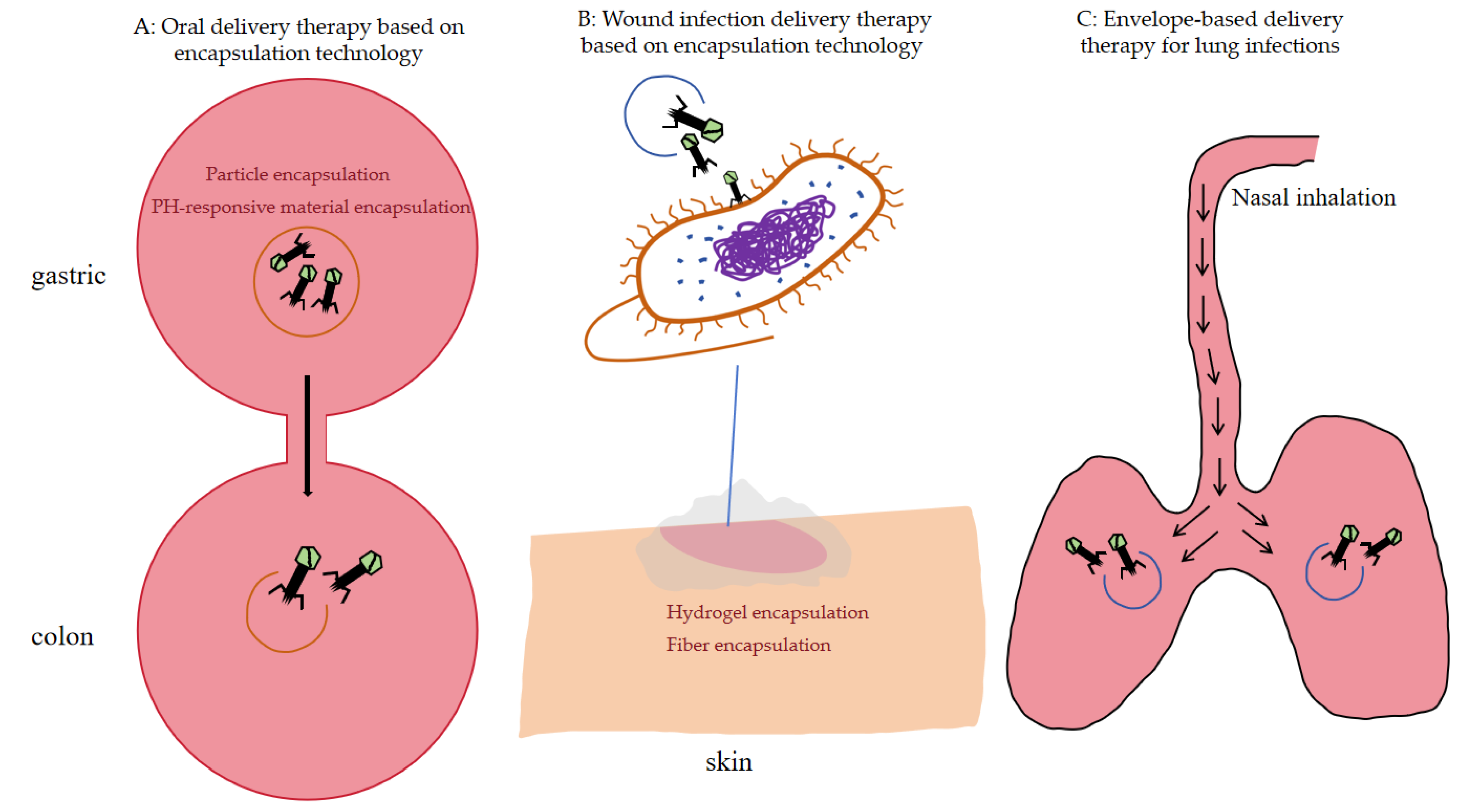 Pharmaceuticals 18 01688 g003 Pharmaceuticals 18 01688 g003