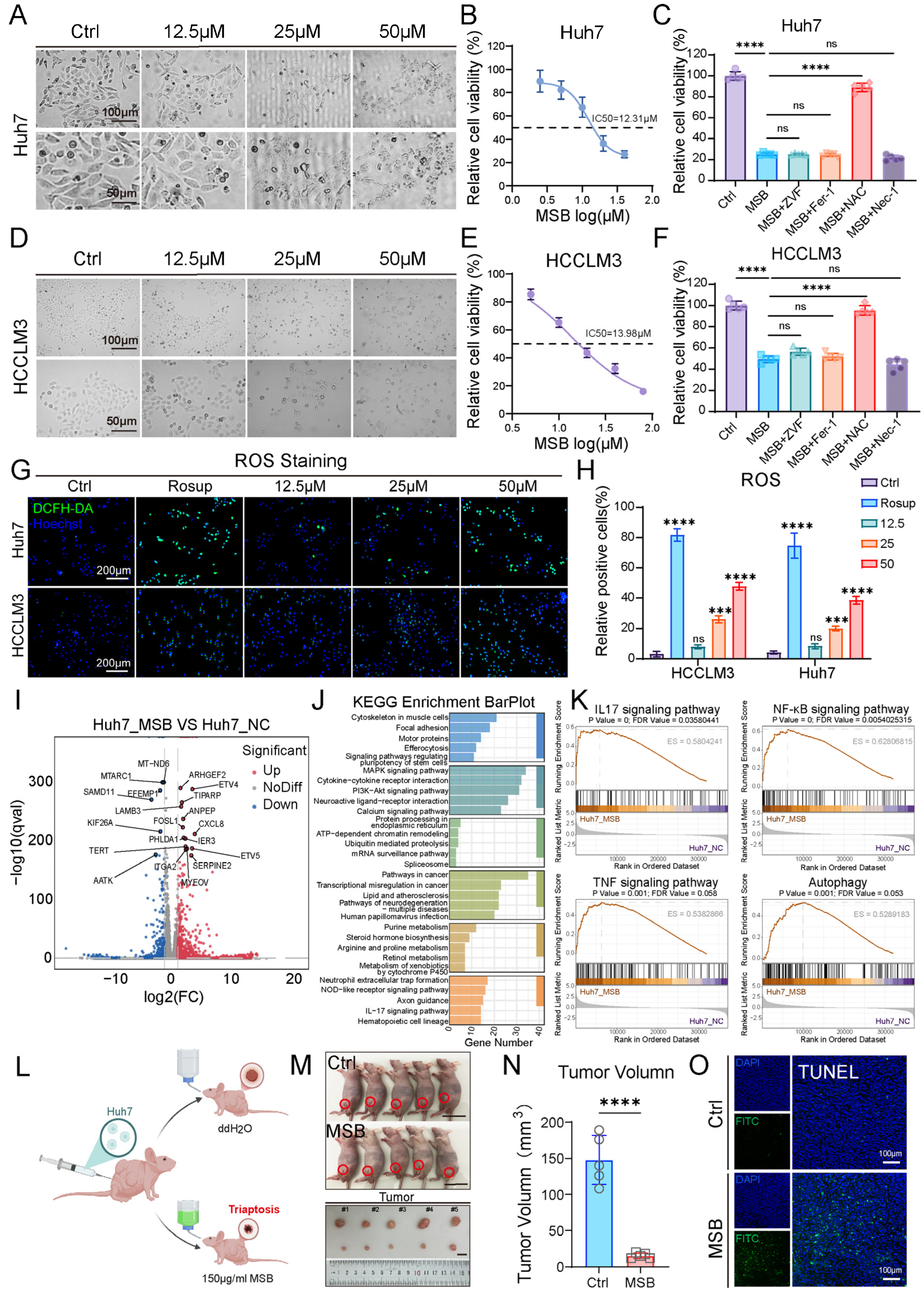 Pharmaceuticals 18 01691 g001