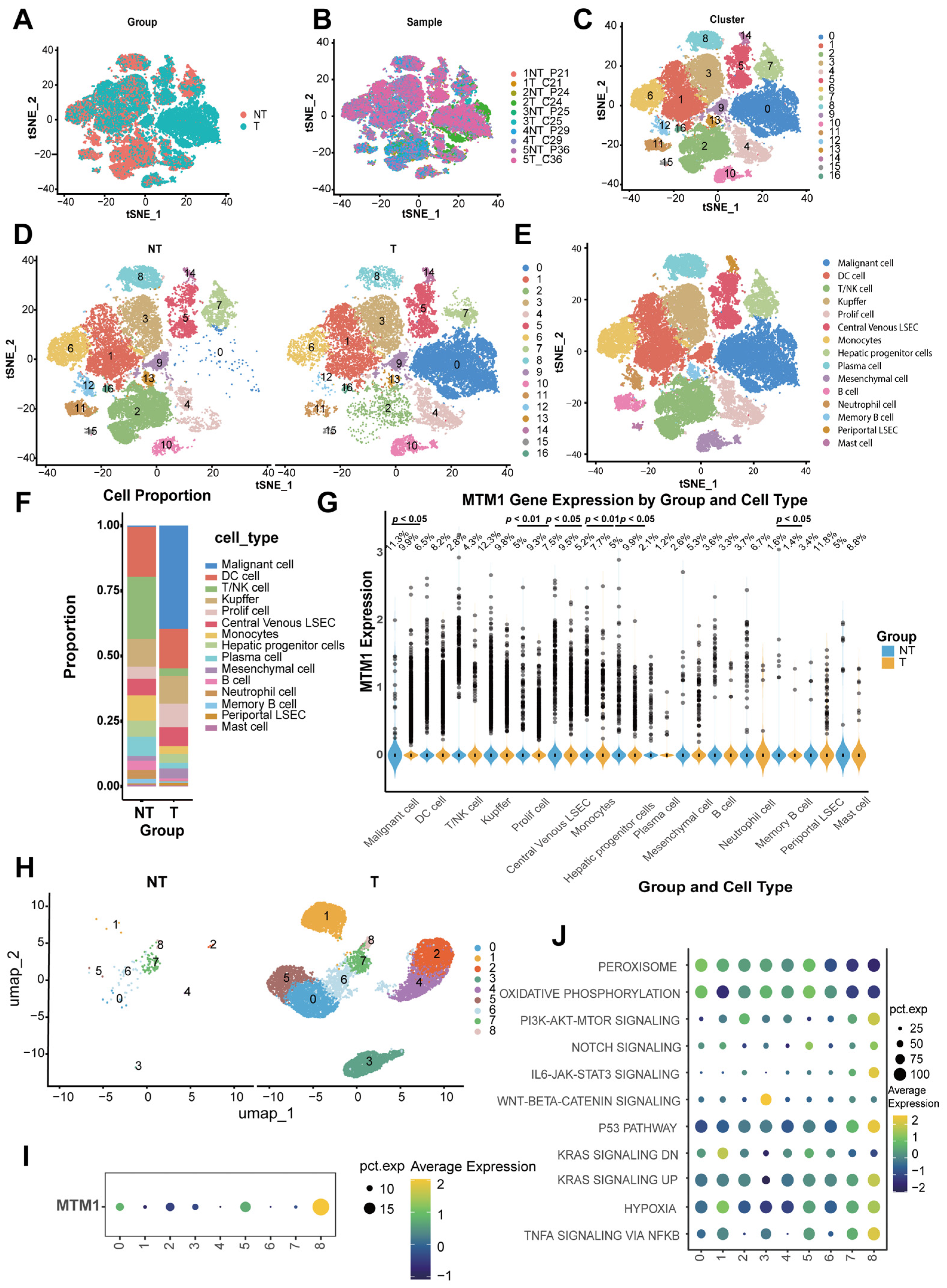 Pharmaceuticals 18 01691 g002